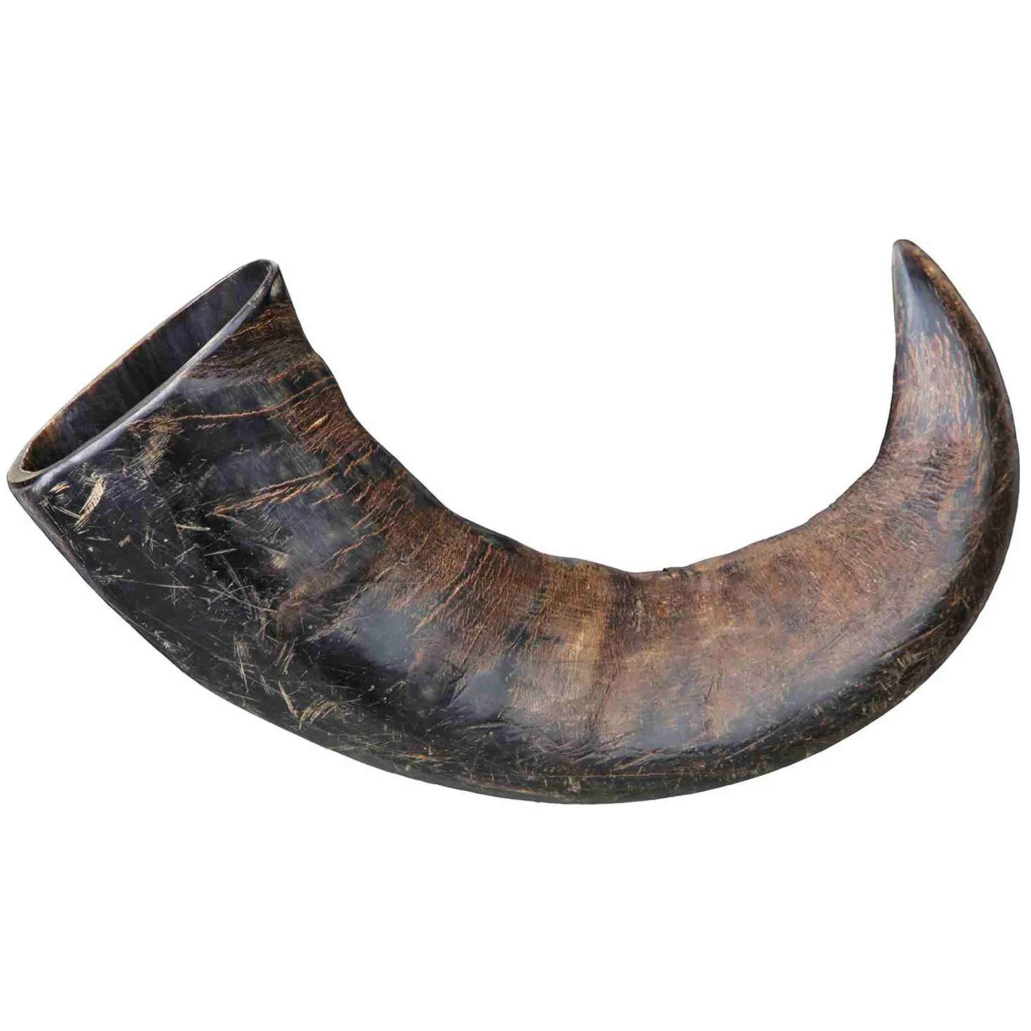 TX-27743 Buffalo Chewing Horn Large