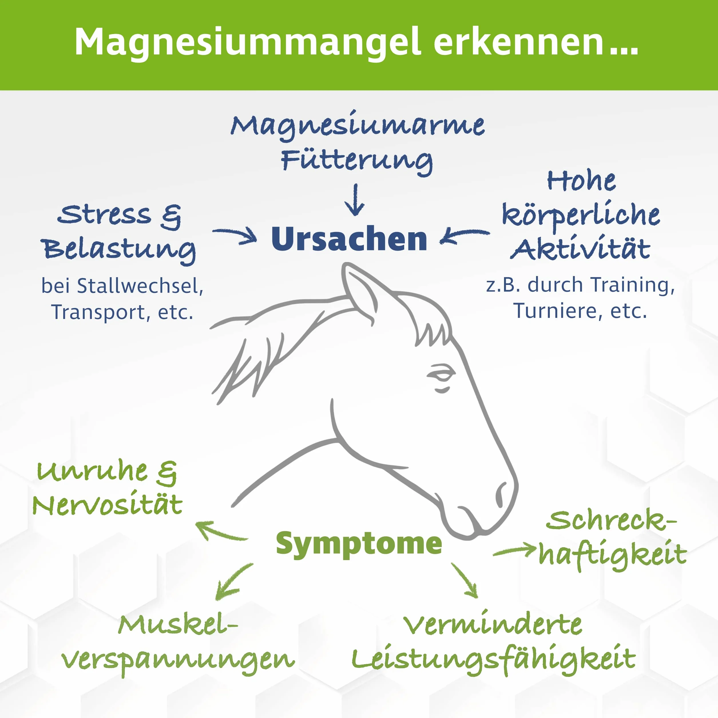 Cytrynian magnezu dla koni 1000 g proszek z łyżeczką dozującą