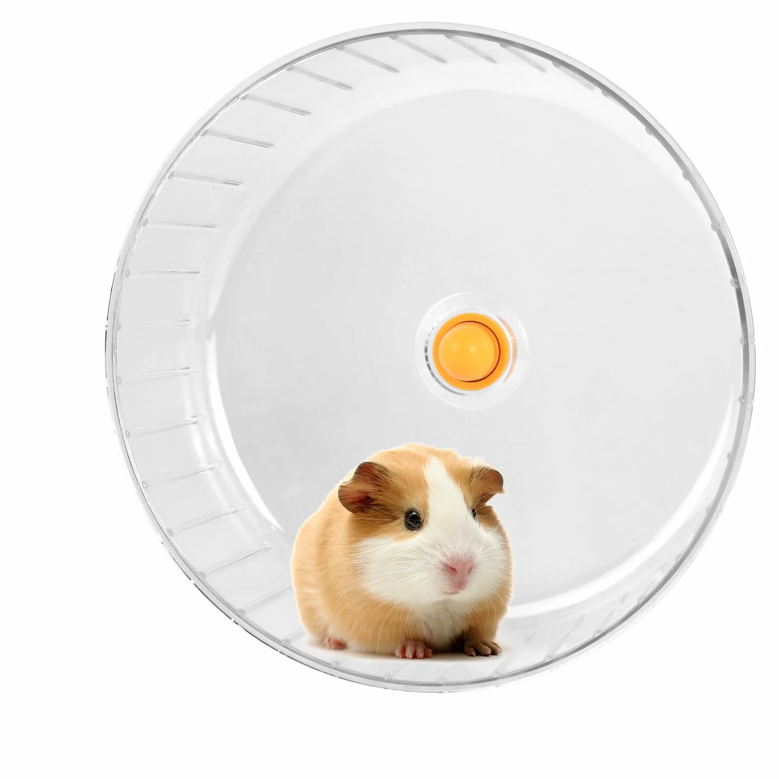 Kółko dla chomika cichy spinner, koło chomika 17 cm, spinner dla chomika, koło treningowe dla chomików, ciche zabawki dla chomików przezroczyste, koło dla chomików z tworzywa sztucznego dla szynszyli