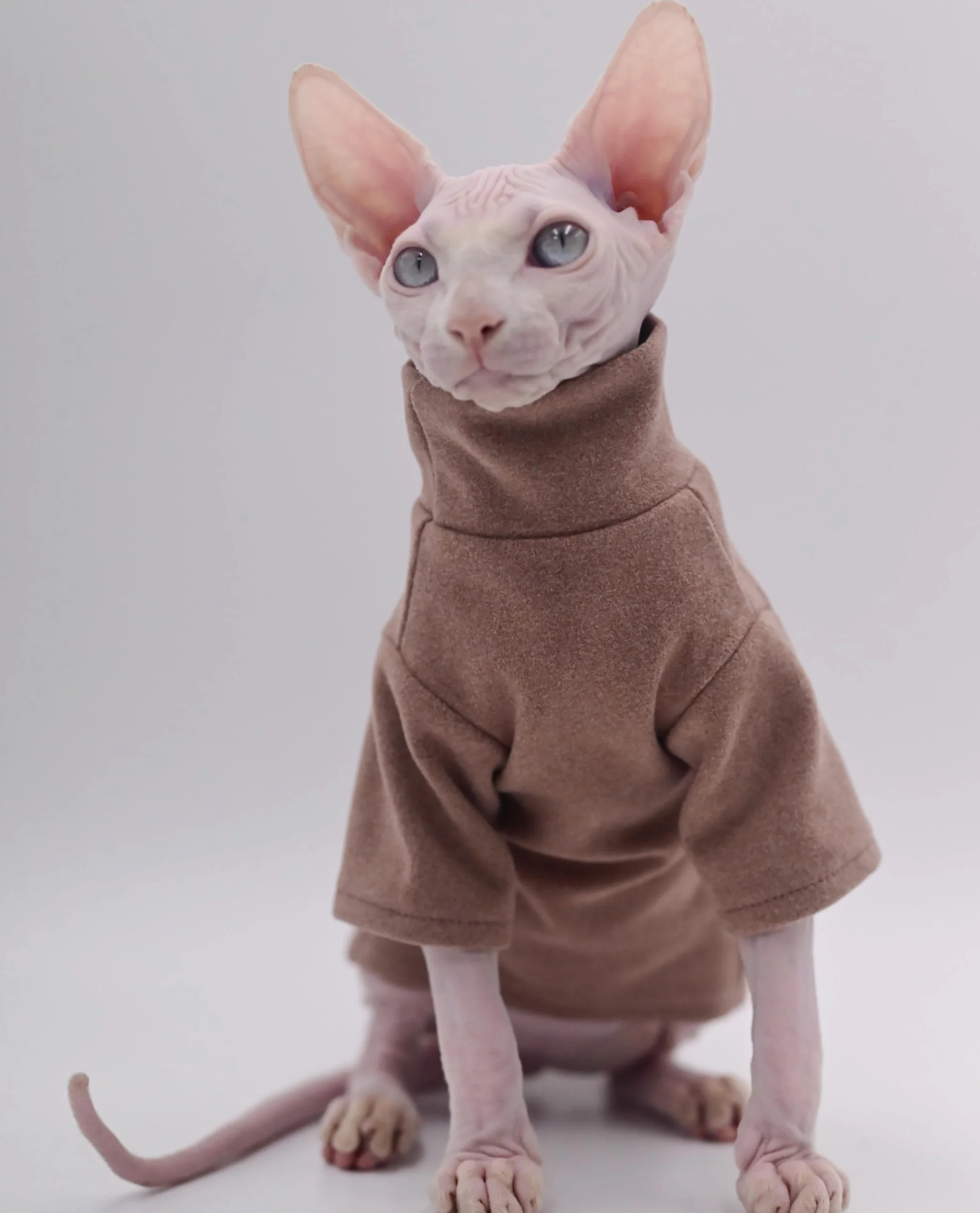 Sphynx Ubrania dla kotów, samonagrzewające się, ciepła bielizna termiczna, bezwłose, ubrania dla kota Sfinksa, Devon, Cornish ubrania dla kotów i małych kotów i psów (czarne), rozmiar L