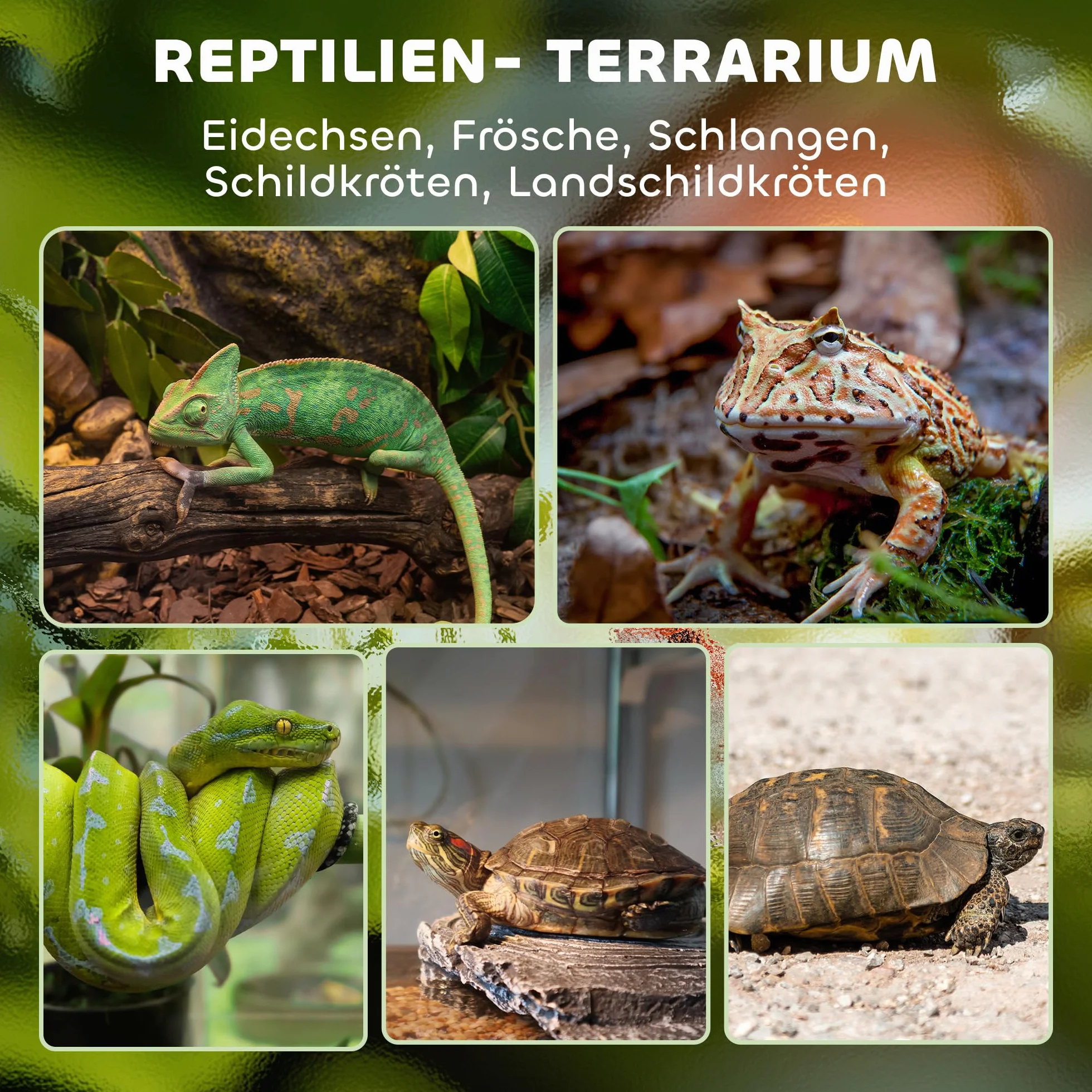 PawHut Terrarium dla gadów, szklane sterrarium 48 l, pudełko na karmienie gadów, z przednią wentylacją, odporne na wybicie zamknięcie obrotowe dla pająków, czarne, 50 x 30 x 35 cm