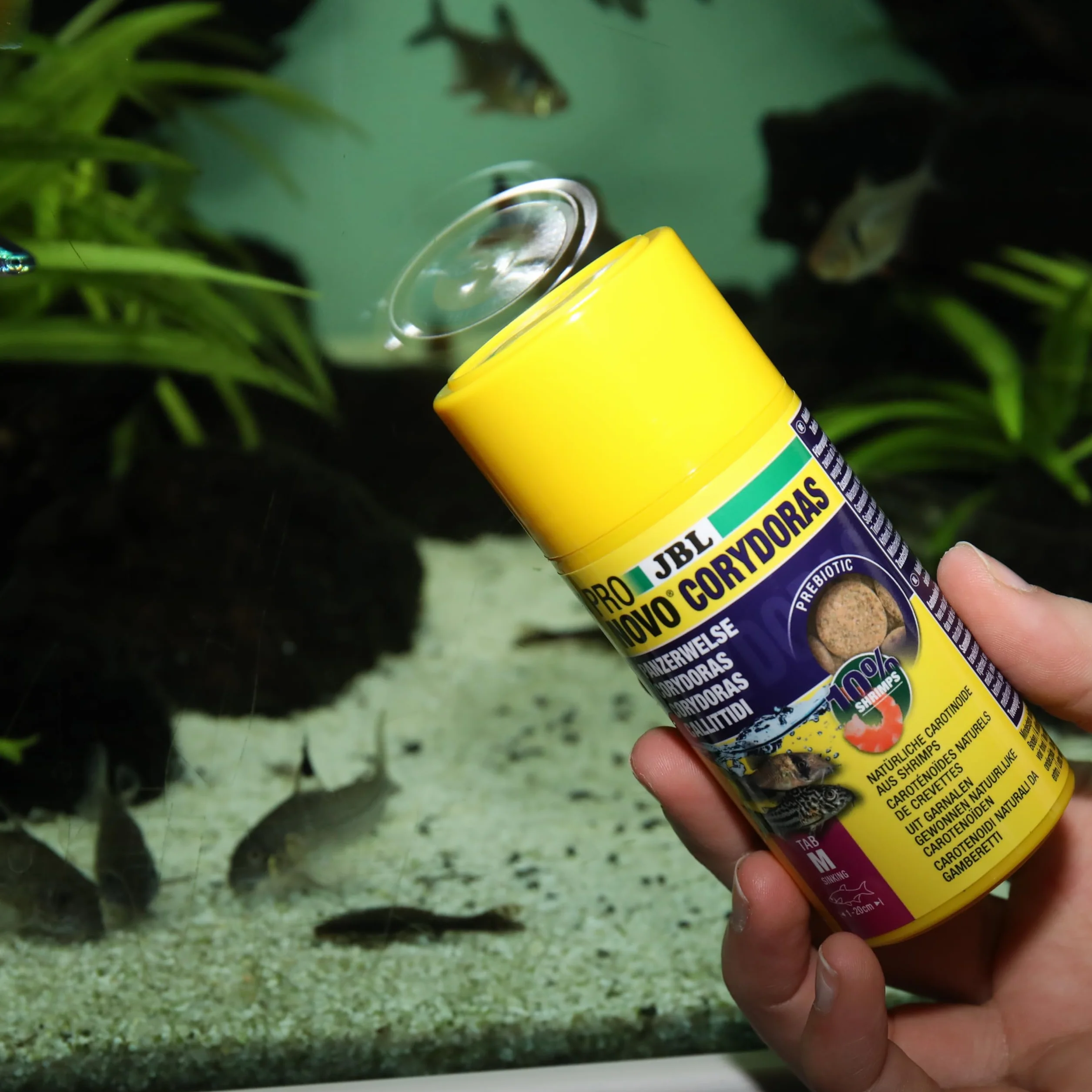 JBL PRONOVO CORYDORAS TAB Główna karma dla pancernych światów 1-20 cm, tabletki, rozmiar M, 100 ml