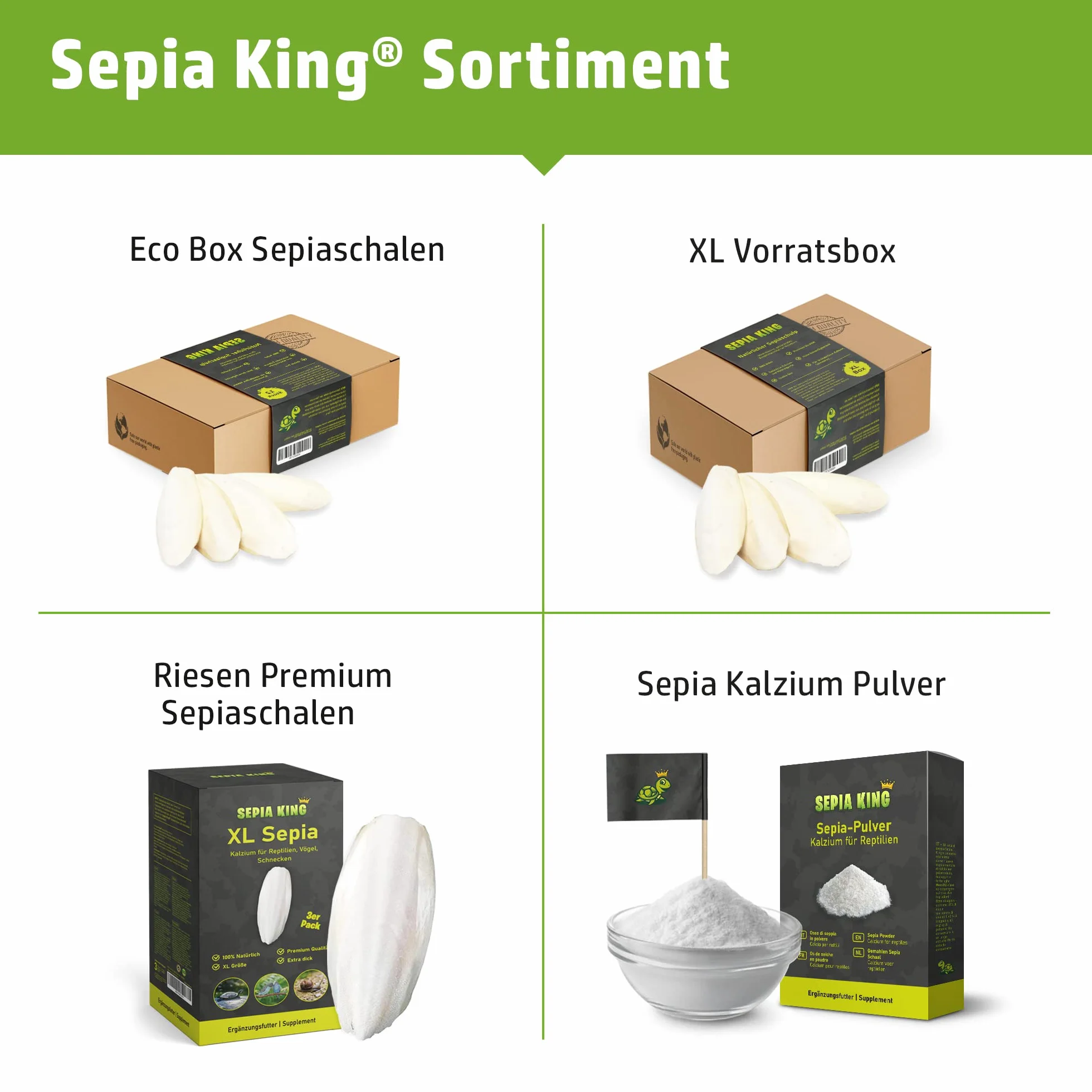 Sepia King Miseczki sepia Premium – wysokiej jakości zaopatrzenie w wapń i witaminy, pokarm, karma dla gadów, żółwi, bartagamów, ptaków, sepii, akcesoria do terrarium, 12 sztuk