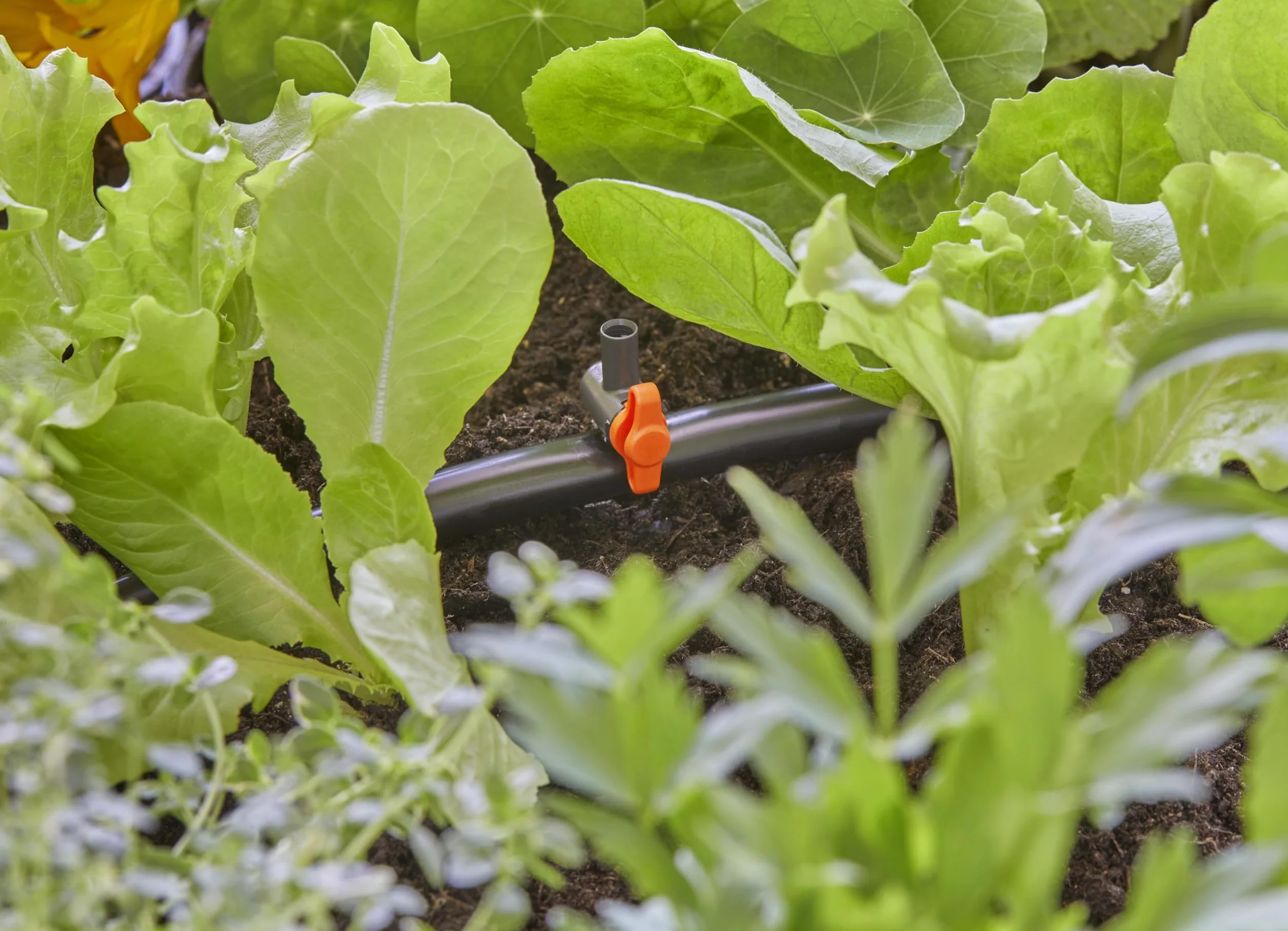 Gardena Micro-Drip-System zawór regulacyjny: Do regulacji przepływu wody na dyszach zraszających lub na rurze przedłużającej dysz zraszających, zawartość: 5 szt. (13231-20)