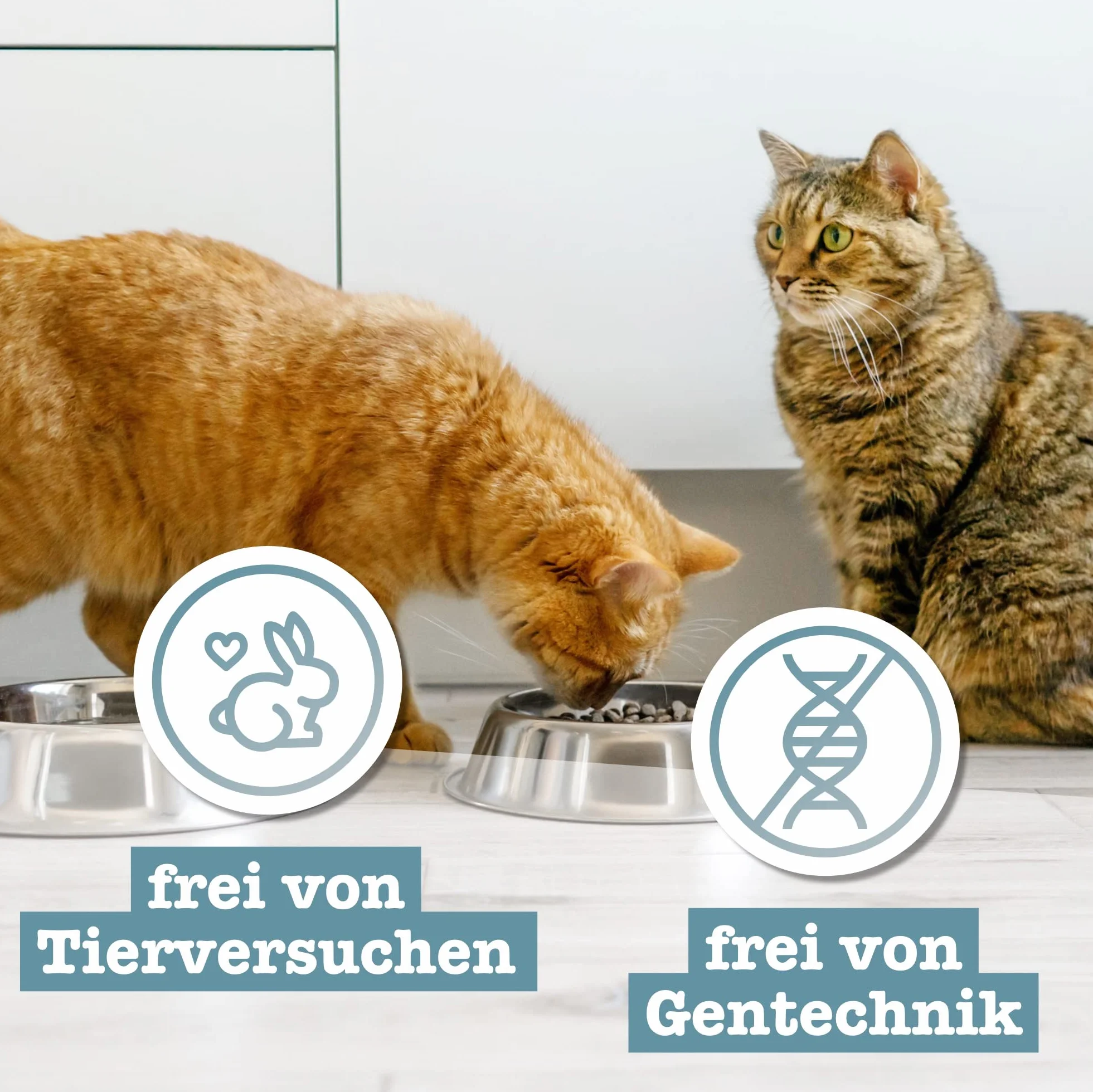 Catz Finefood Przysmaki Dla Kotów 45 G