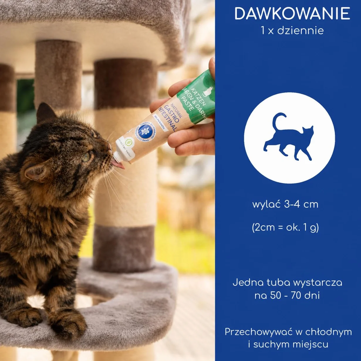 Pasta Żołądkowo-Jelitowa dla Kotów – Z Probiotykami i Korą Wiązu dla Flory Jelitowej – Wspiera Trawienie i Żołądek – Delikatna Przekąska 100g