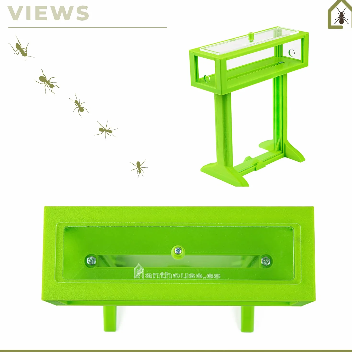 AntHouse Formikarium 3D z naturalnym piaskiem biały 15 x 15 x 1,5 cm zestaw T