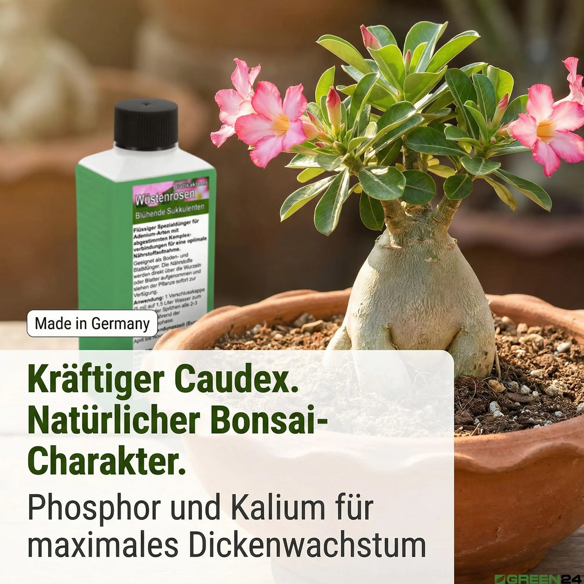 GREEN24 Nawóz do róż pustynnych 250 ml, specjalny nawóz do Adenium obesum, wspomaga gęsty kaudex, bogaty blask kwiatów i zwarty wzrost, idealny do wszystkich drzew butelkowych i roślin kaudexowych