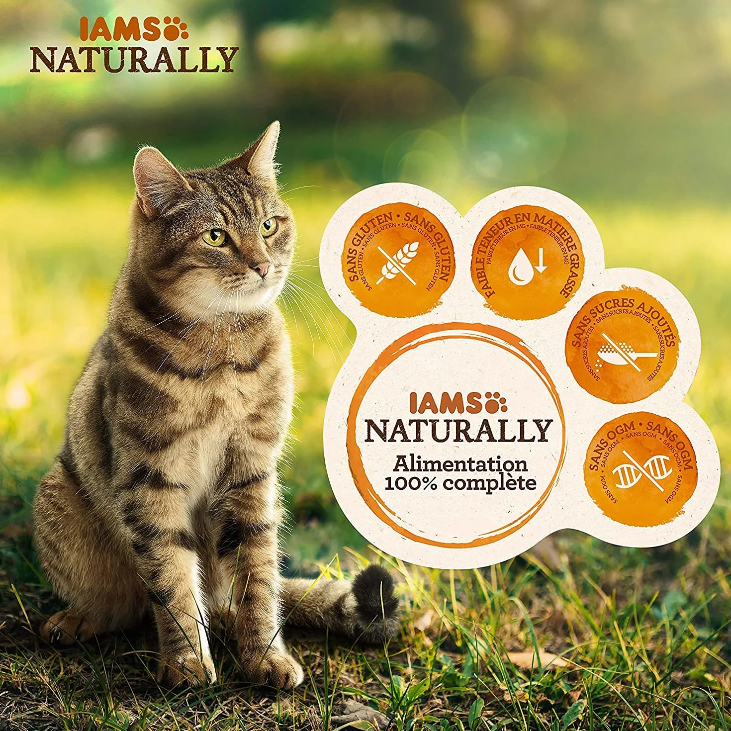 Iams Sea Collection Karma dla Kotów, 12 x 85 g
