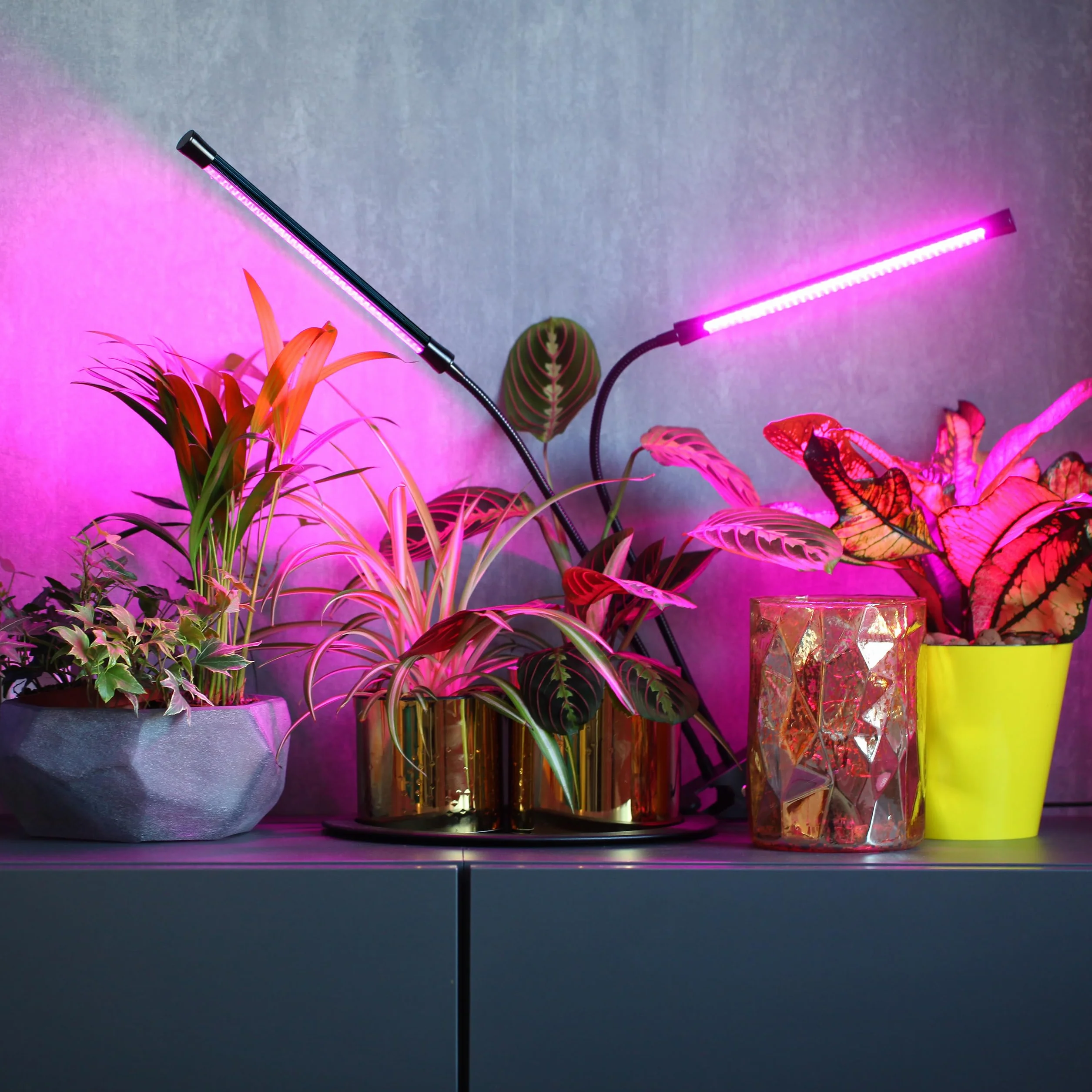 Retoo Lampa LED z pełnym spektrum światła, lampa biurkowa do szklarni i roślin pokojowych, 60 diod LED, pilot zdalnego sterowania, sterowanie wierszem, światło do wzrostu z timerem