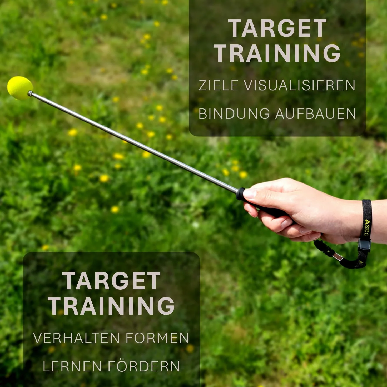 ASCO Target Stick AC01TS bransoletka ze stretchu dla psów, kotów, koni, trening i edukacja, stal nierdzewna, celownik teleskopowy, 17-73 cm, czarny