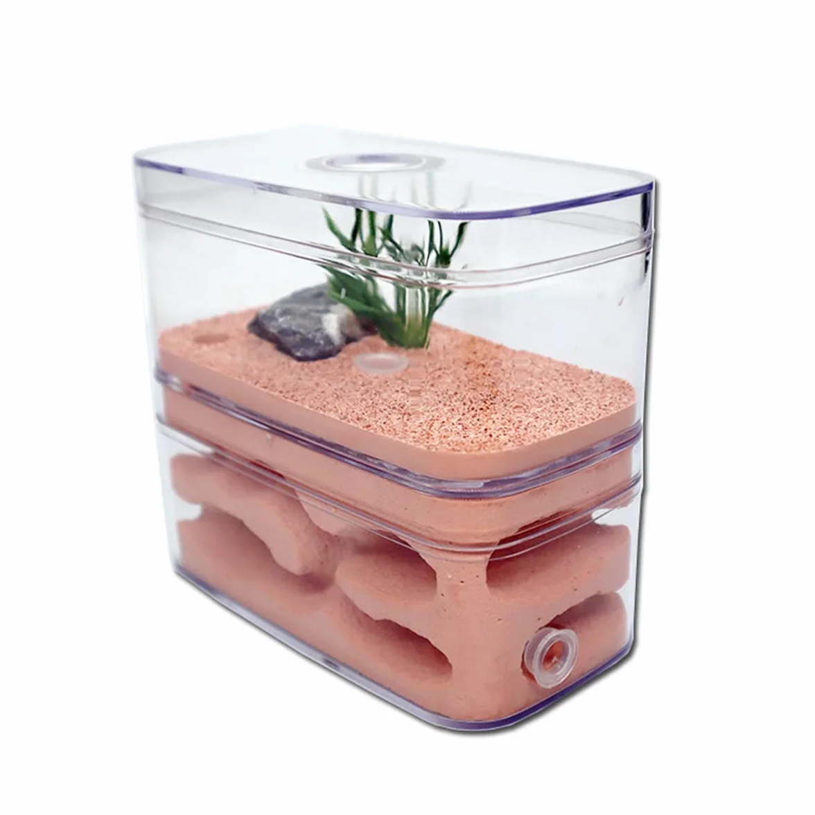 Tynkowe gniazdo mrówek dom mrówka gipsowa farma mrówek Formikarium siedlisko zwierzę domowe mrowisko owady zamek warsztat willa z miejscem do karmienia