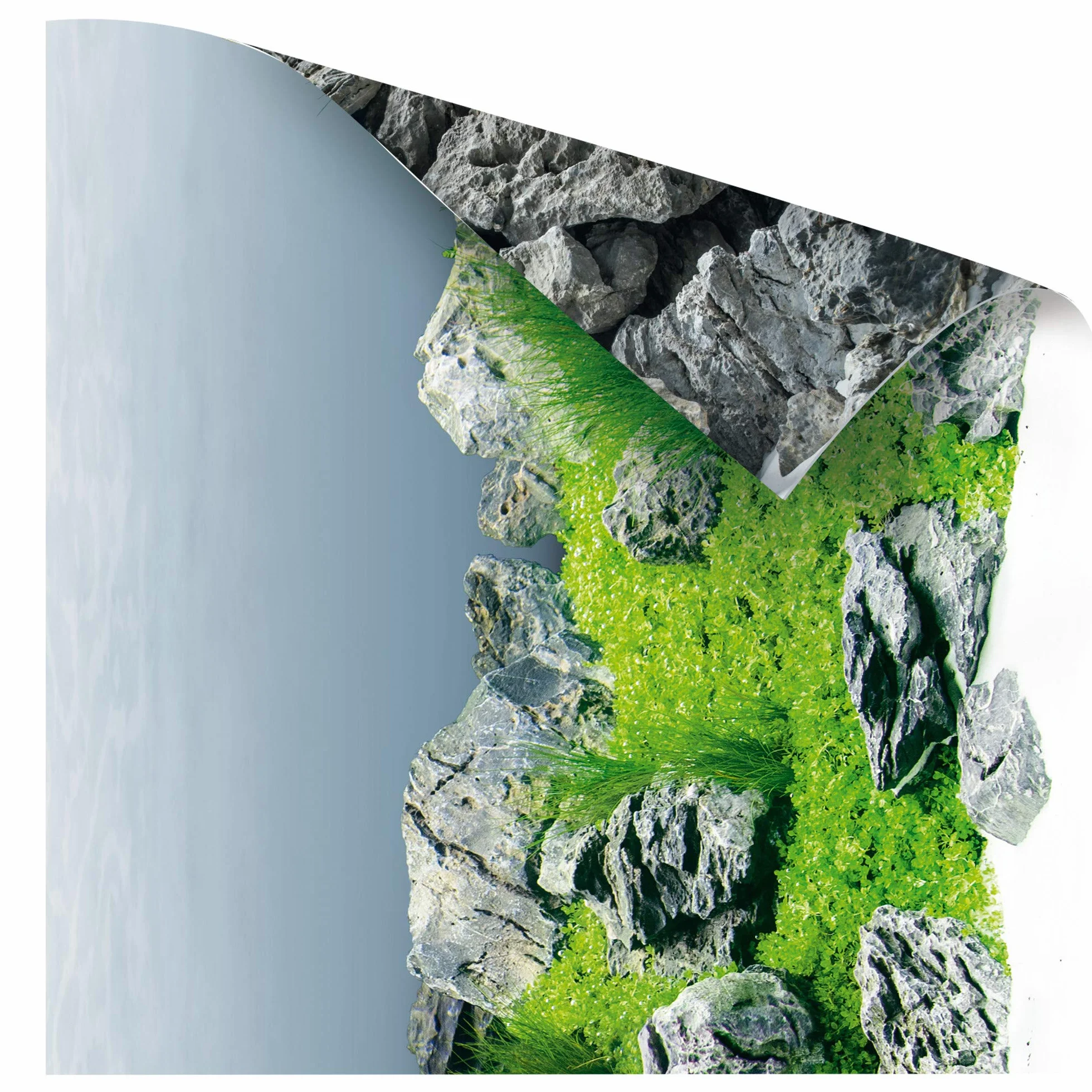 JUWEL Aquarium plakat 4 S kolorowy 60 x 30 cm