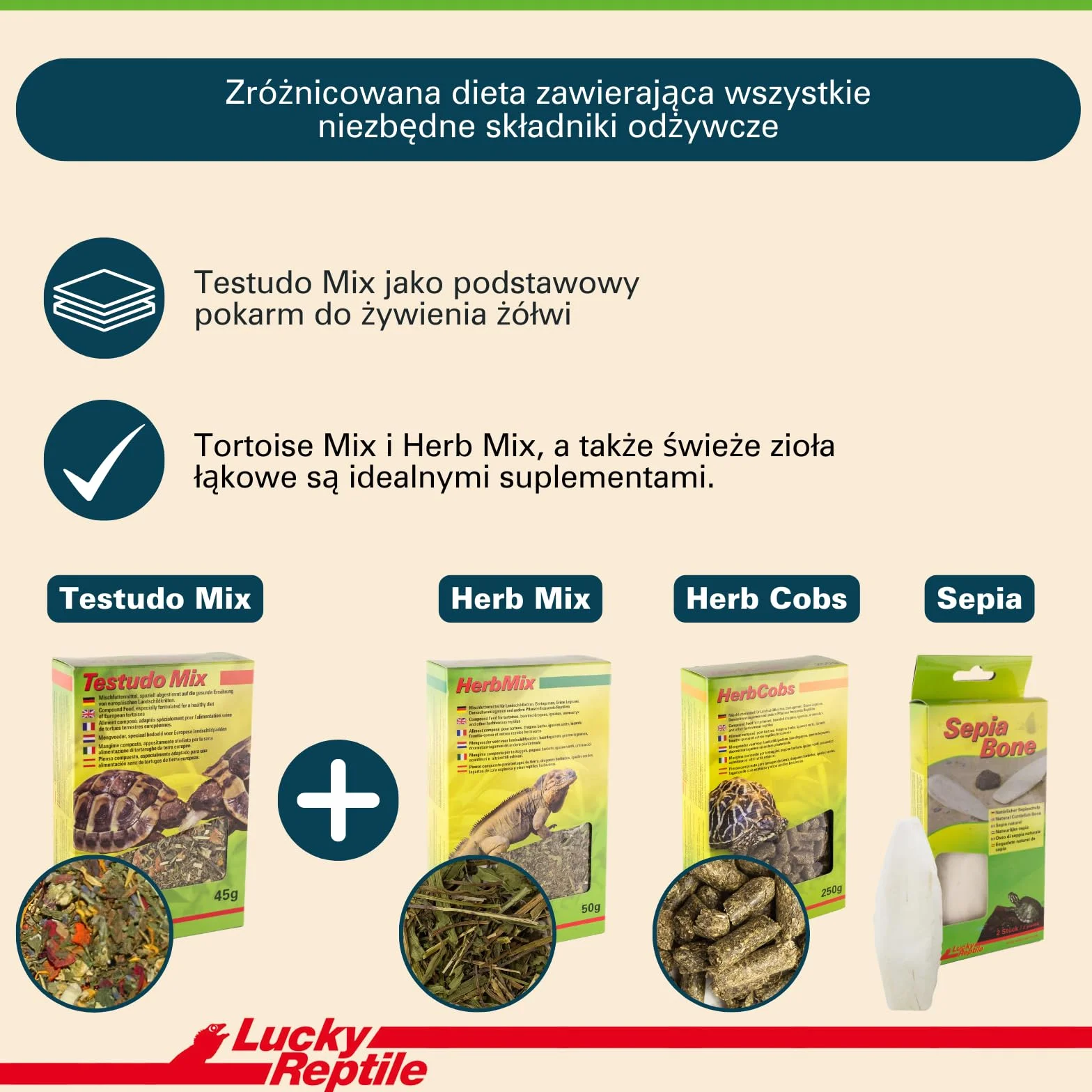Lucky Reptile Testudo Mix 80g - Pokarm dla żółwi lądowych z suszonymi kwiatami i ziołami - Pokarm dla żółwi z dużą ilością błonnika i minerałów - Karma dla europejskich żółwi lądowych