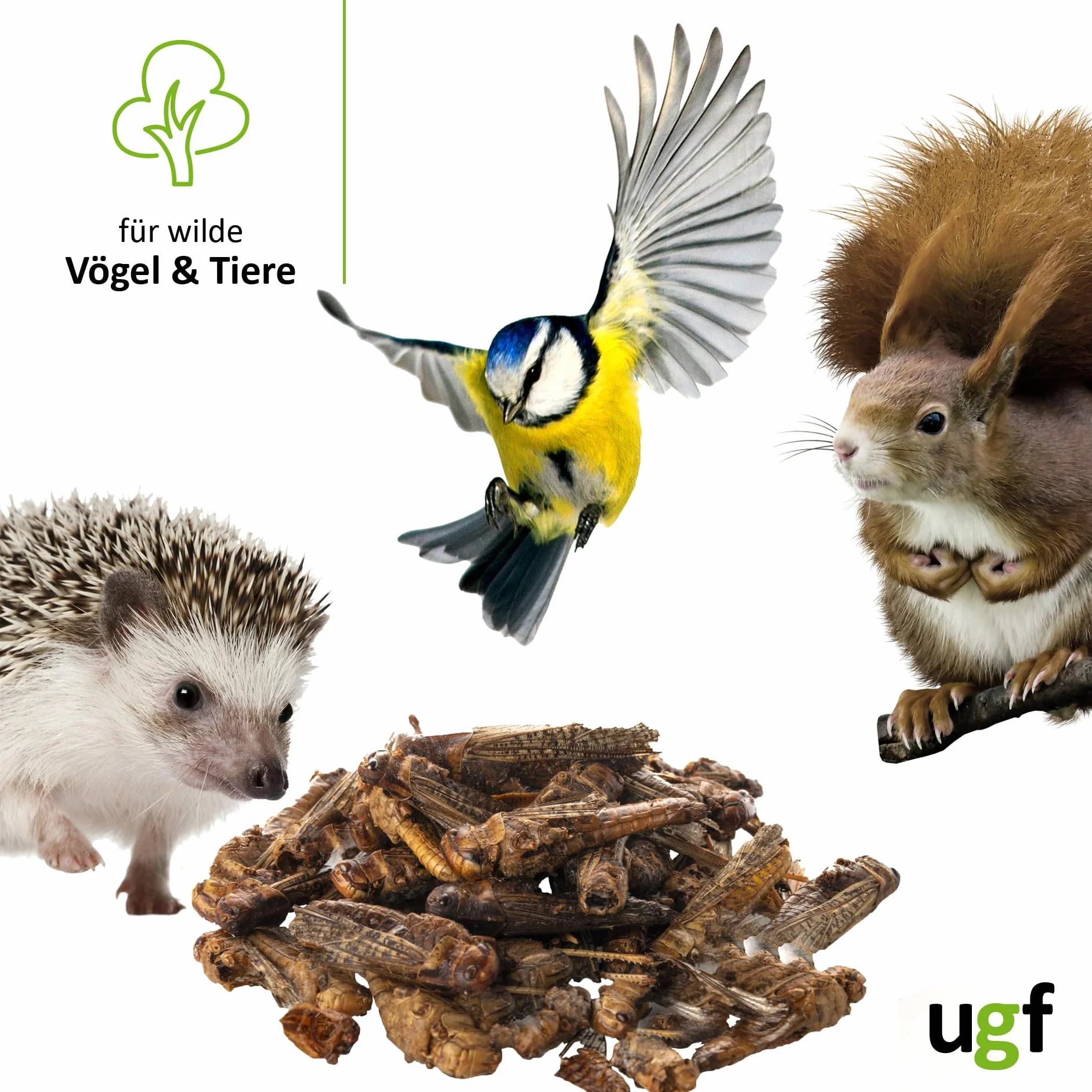 UGF suszone koniki polne 65 g wiadro 500 ml karma dla gadów gryzoni jeży jaszczurek dzikich ptaków