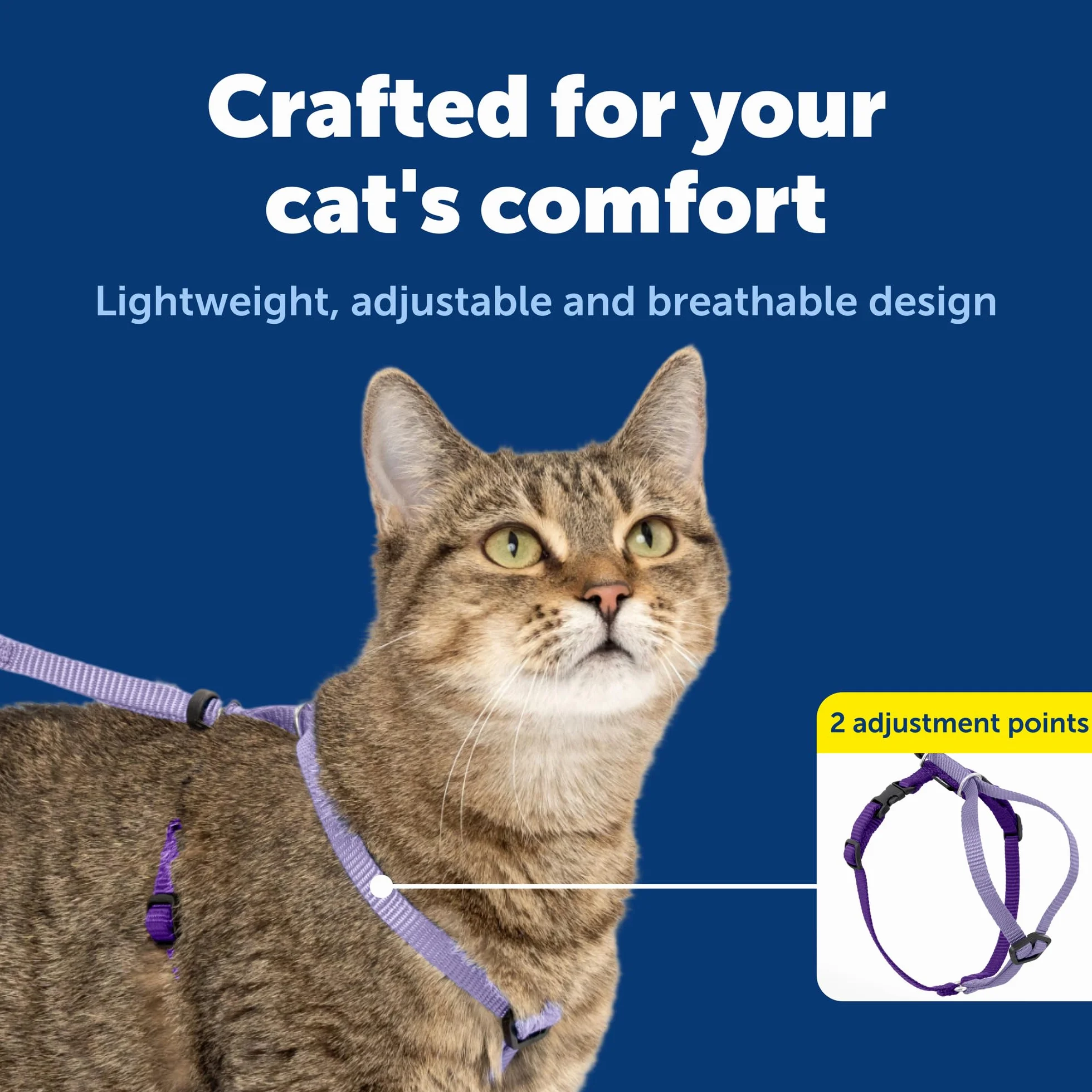 PetSafe Come With Me Kitty uprząż i smycz dla kota Bungee, rozmiar M, liliowy