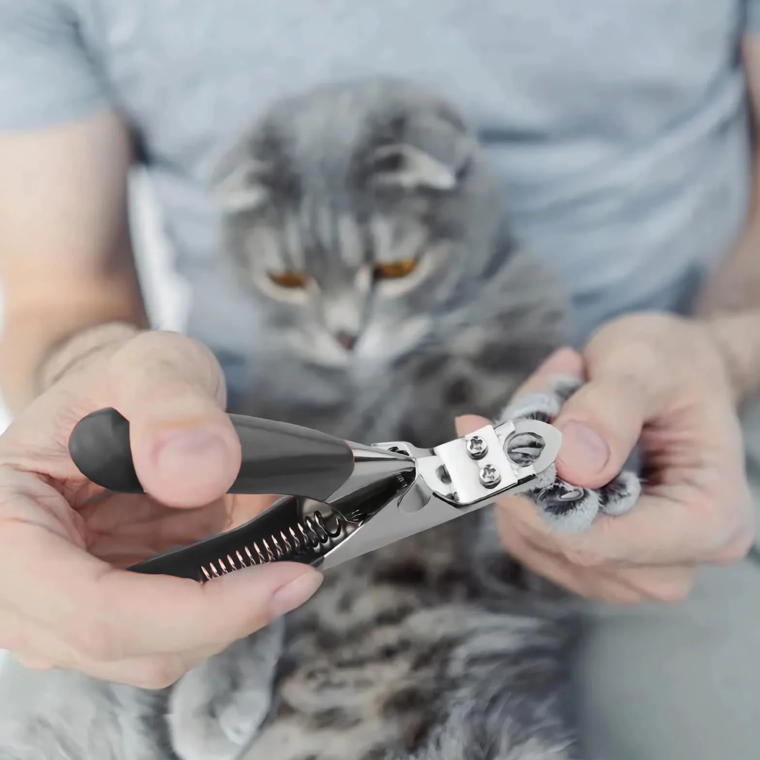 Pet Cat Dog Nails Clippers and Trymers-dedykowane narzędzie do pielęgnacji zwierząt, nożyczki do pielęgnacji kotów Szczeniak Kociak Małe psy Króliki lub inne małe zwierzęta (czarne)