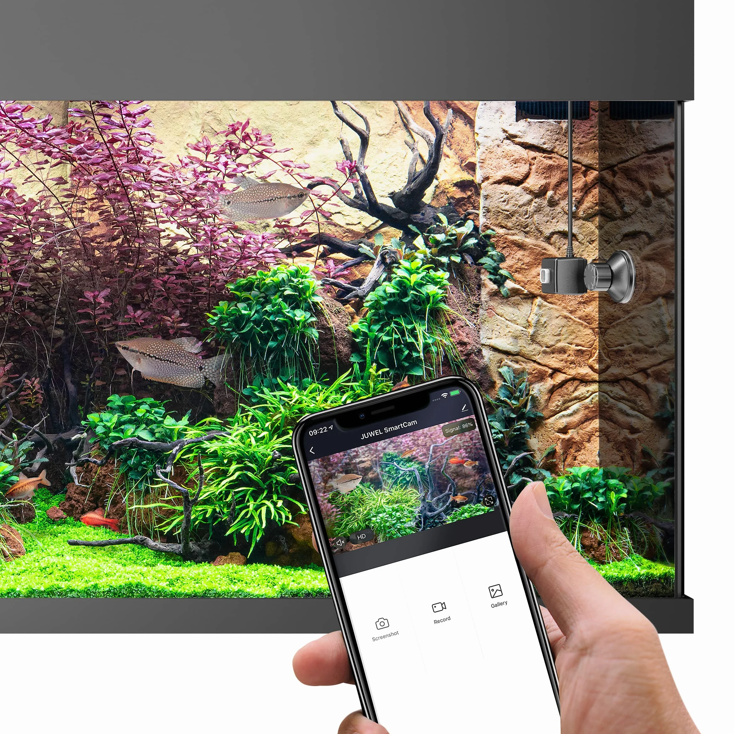 JUWEL SMARTCAM kamera do nurkowania do akwarium