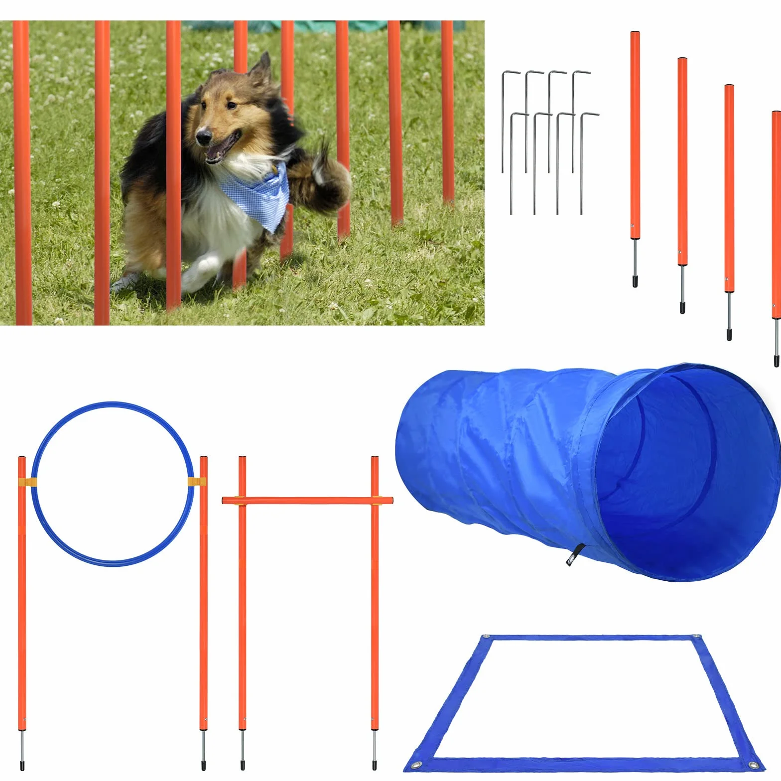 HENGMEI Agility zestaw treningowy dla psów z tunelem, regulowane przeszkody, pierścień do skakania