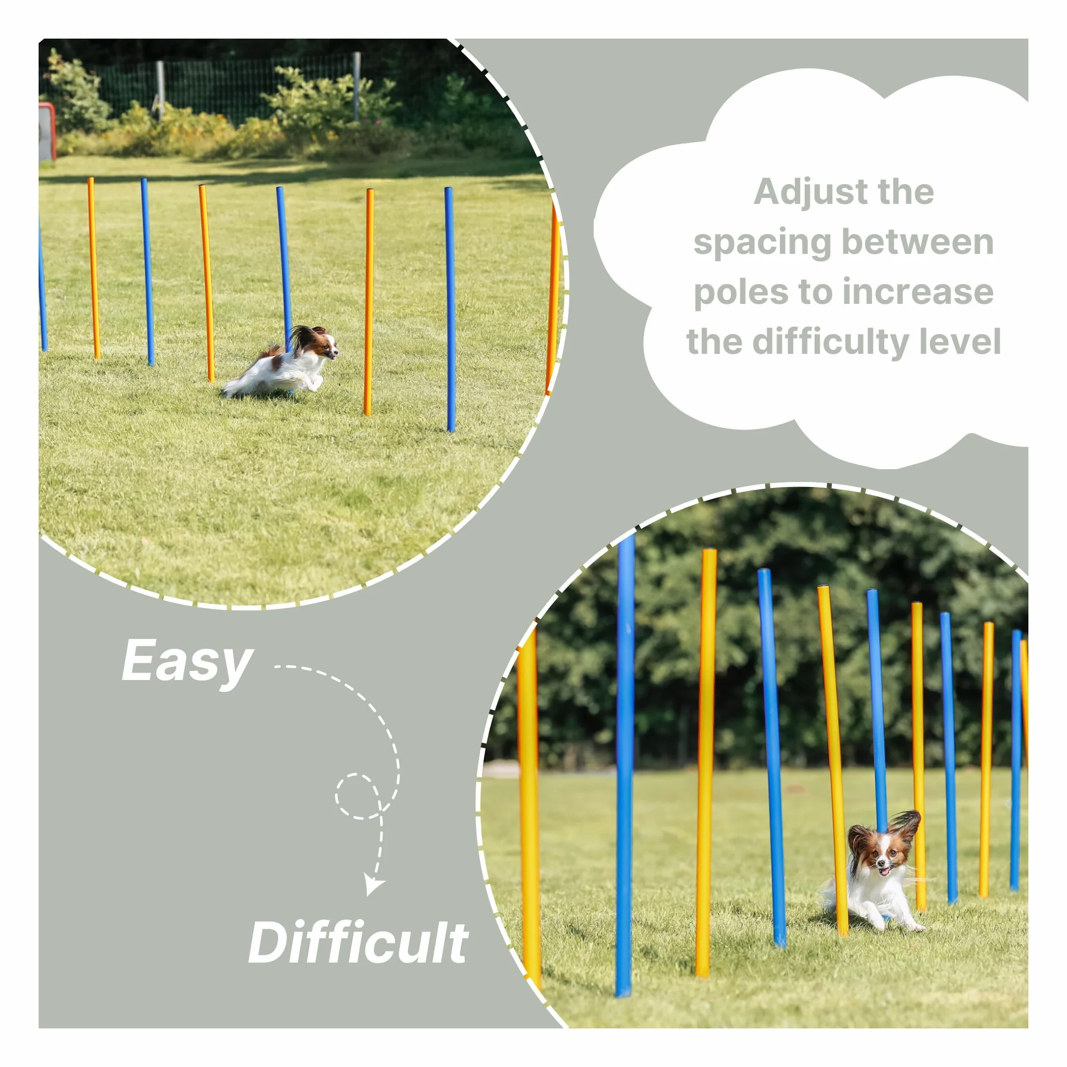 Trixie 3206 Dog Activity Slalom Agility, tworzywo sztuczne, ø 3 × 115 cm, 12 szt., niebieski/pomarańczowy