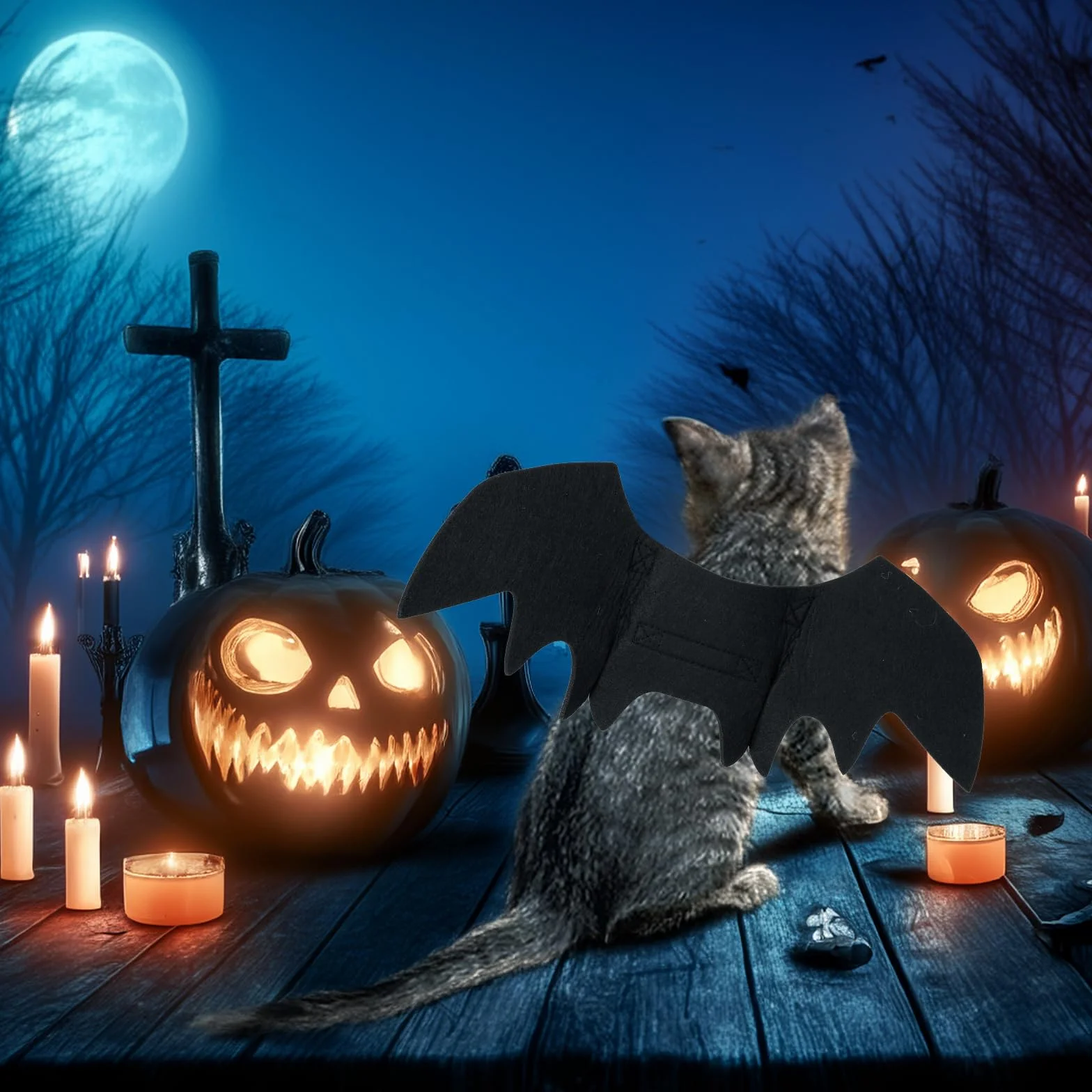Kostium na Halloween dla kota z czarnymi skrzydłami nietoperza