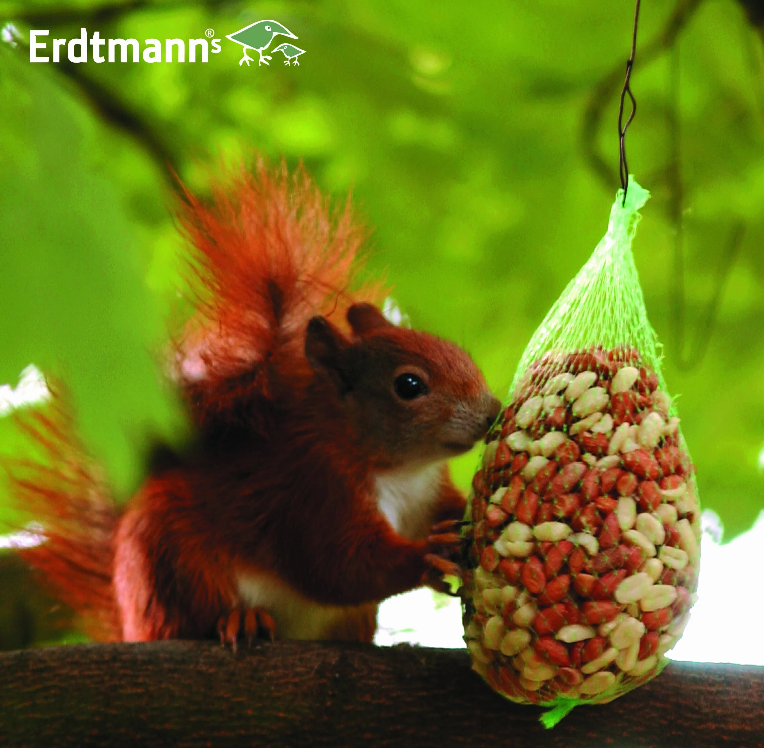 ERDTMANNS - karma dla wiewiórek Big Pack 600 g (2 x 300 g)