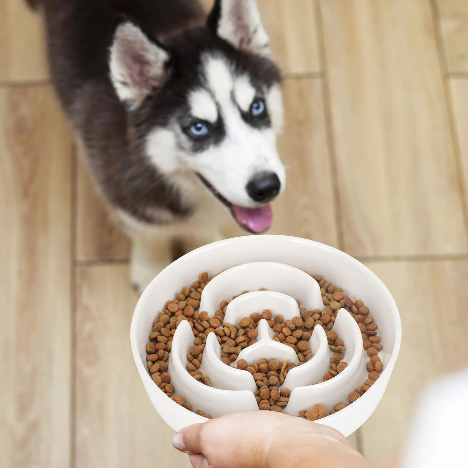 PETTOM Ceramiczna miska dla psa przeciw korkom