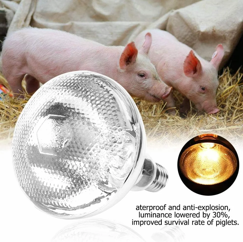 Zerodis Lampa grzewcza do hodowli, 250 W, lampa grzewcza dla zwierząt domowych z regulacją temperatury, lampa izolacyjna na podczerwień do hodowli żółwi, akwarium, akwarium, dla gadów, jaszczurek