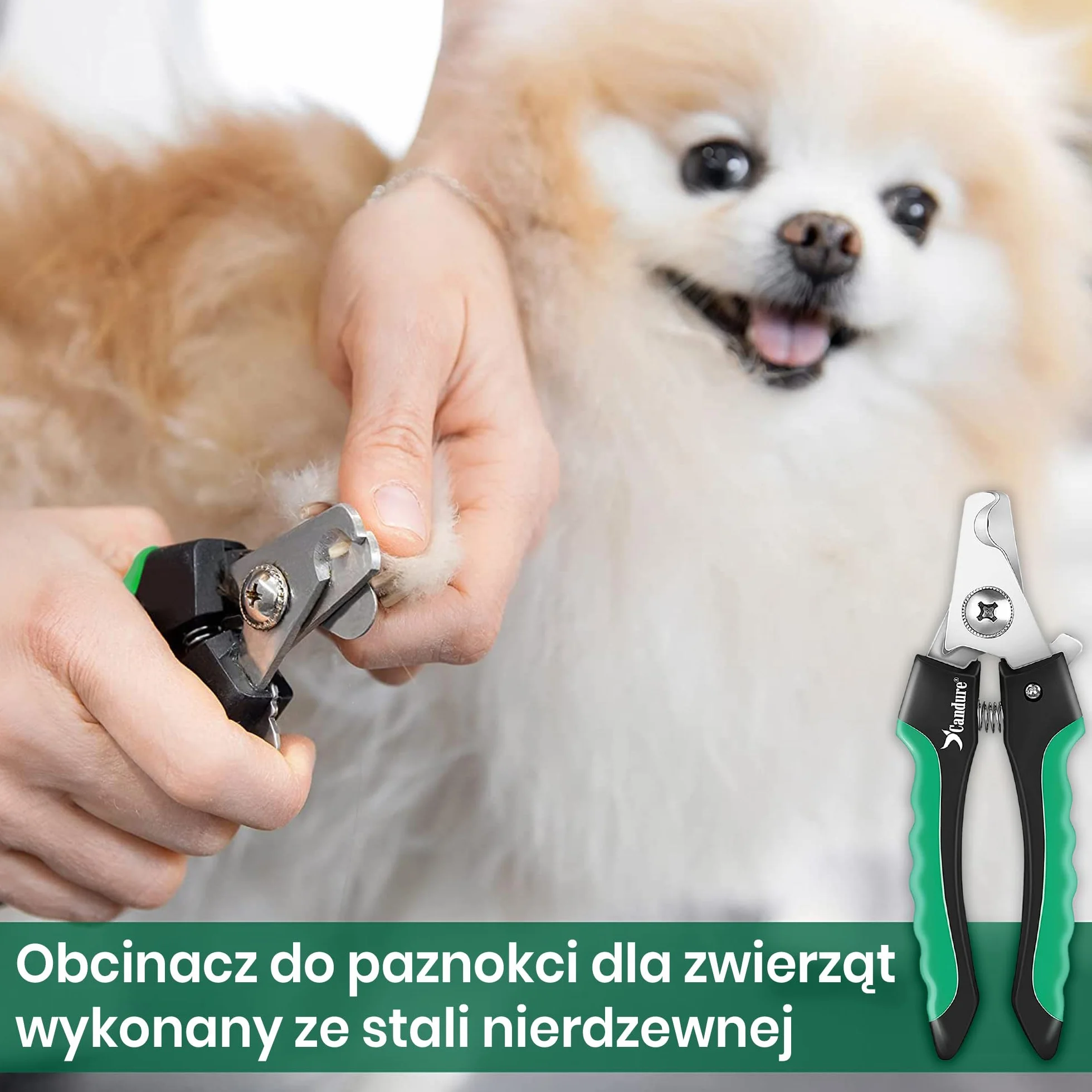 Candure obcinacze do paznokci dla psów i kotów ze stali nierdzewnej z pilnikiem
