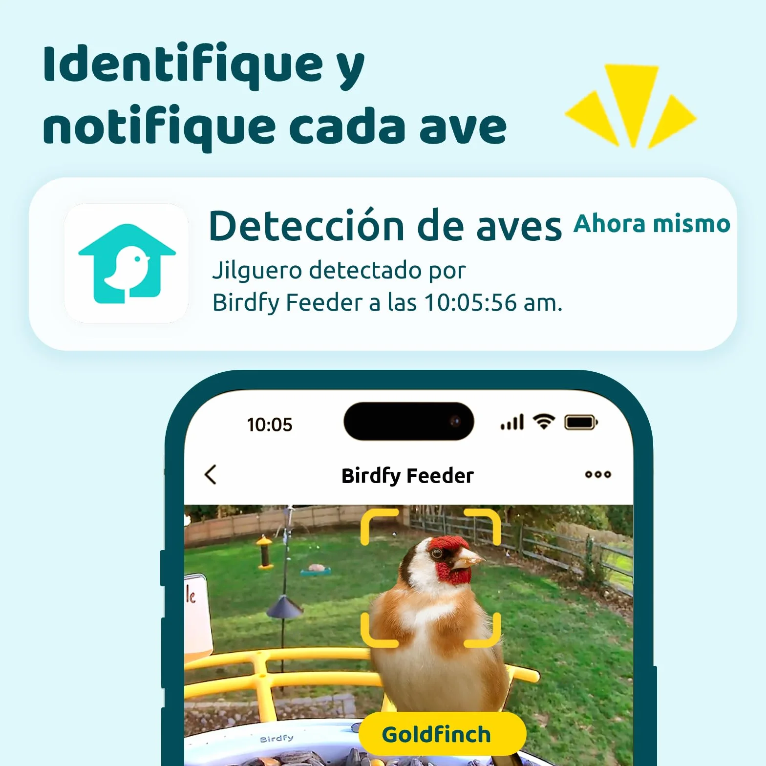 NETVUE Birdfy Pro Lite Vogelhaus z kamerą, stacja Vogelfutterstation z kamerą i DIY wielofunkcyjny stojak, stacja futterstationen for Wildvögel, Vogelfutterspender mit Meisenknödelhalter, Wasser/Gelee