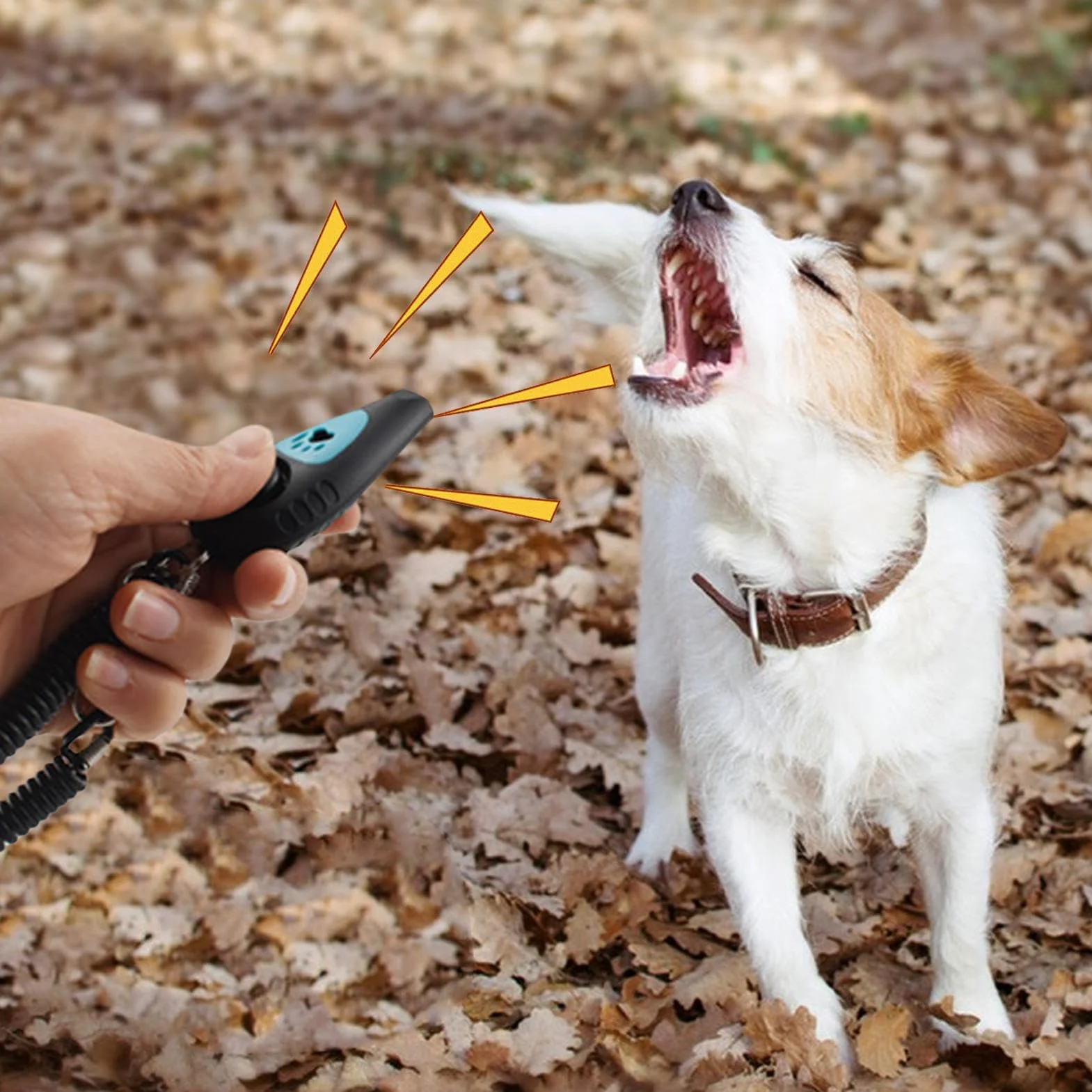 Clicker 2 w 1 dla zwierz?t – Cichy akcesorium behawioralne z paskiem nadgarstek i gwizdkiem