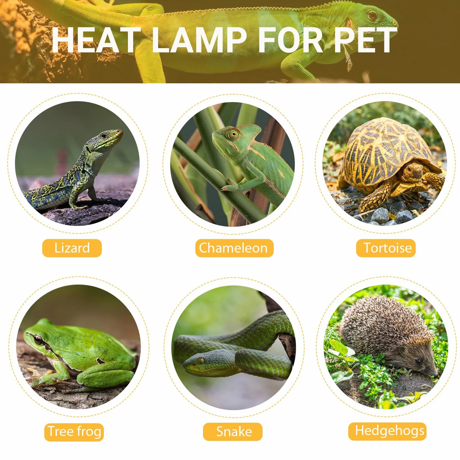 Caldarax Terrarium E27 Lampa grzewcza do ściemniania, 25 W UVA UVB Żółw Ogrzewanie Lampa grzewcza AC 230 V, żarówka gada Ogrzewanie dla żółwi, węży, jaszczurek, płazów, akwarium, zestaw 2 szt