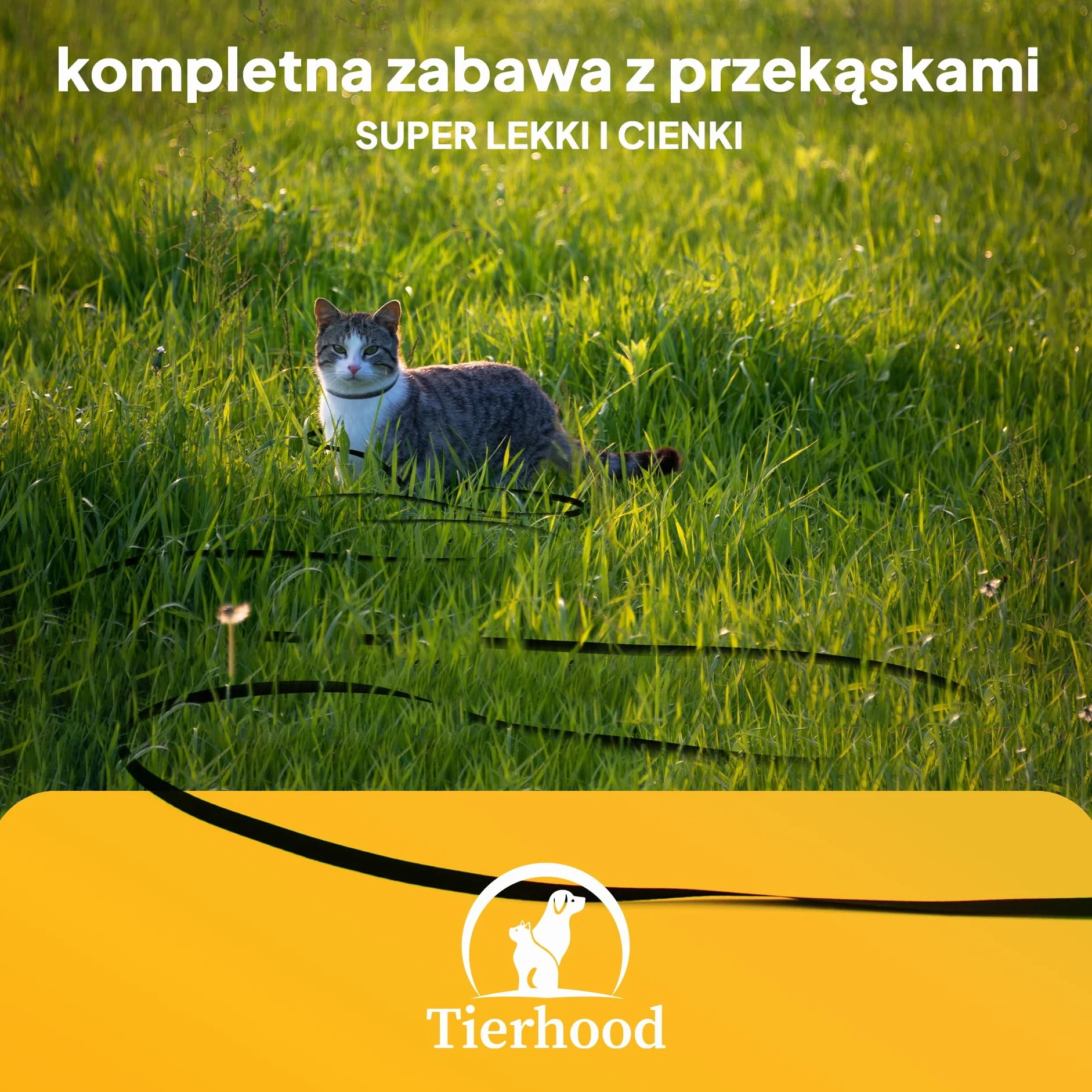 Tierhood Smycz dla Kotów 5 m / 10 m / 15 m - Bardzo Lekka z Paskiem na Rękę - Długa dla Maksymalnej Swobody - Rozmiar: 10 m