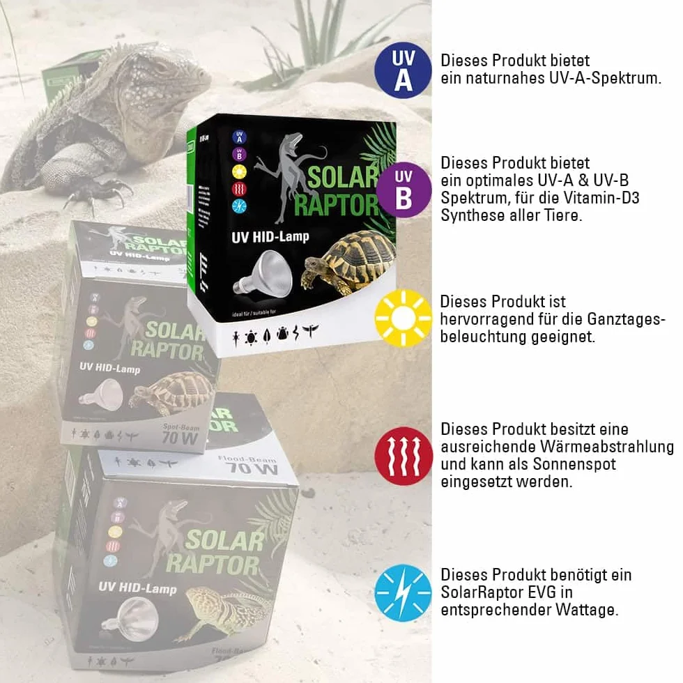 Econlux SolarRaptor 70W PAR38 reflektor loodowy