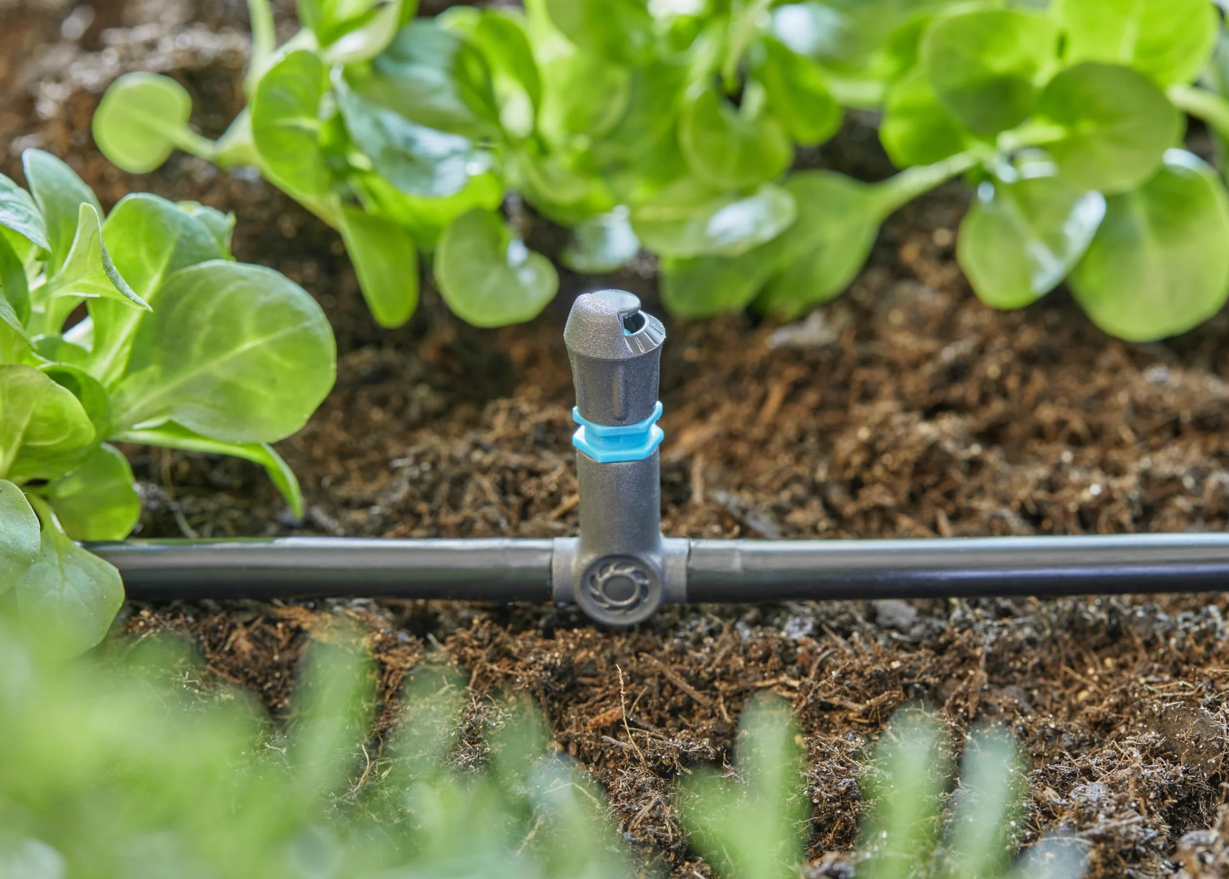 Gardena System Micro-Drip trójnik 4,6 mm (3/16 cala): Praktyczne połączenie do ustalania dysz rozpylających i kroplowników końcowych, 5 szt. (13216-20)
