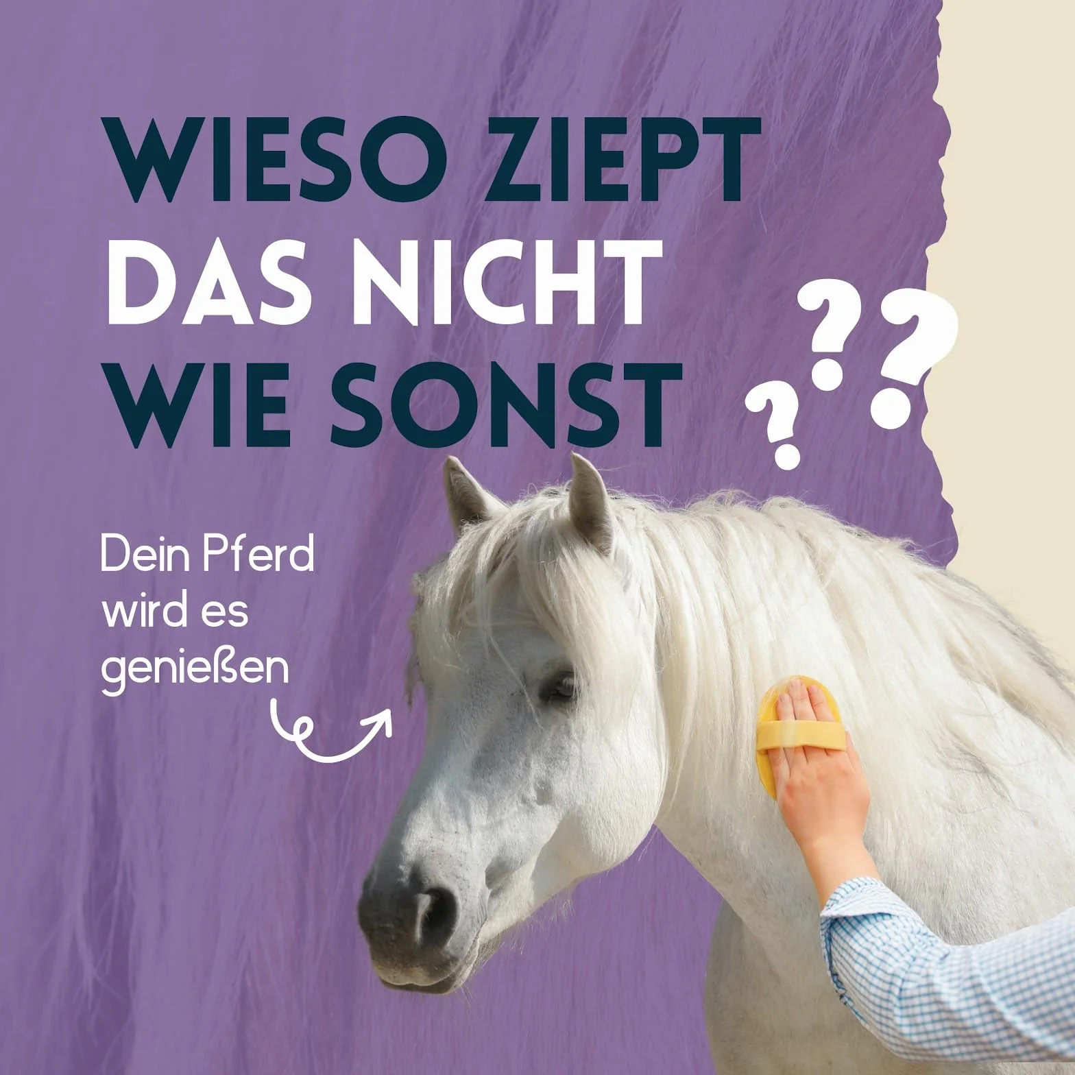 nimo® Spray do pielęgnacji grzyw | dla koni i kucyków | spray do ogona i grzywy | łatwiejsze rozczesywanie, rozplątywanie, pielęgnacja grzywy, pielęgnacja ogona, nadaje połysk