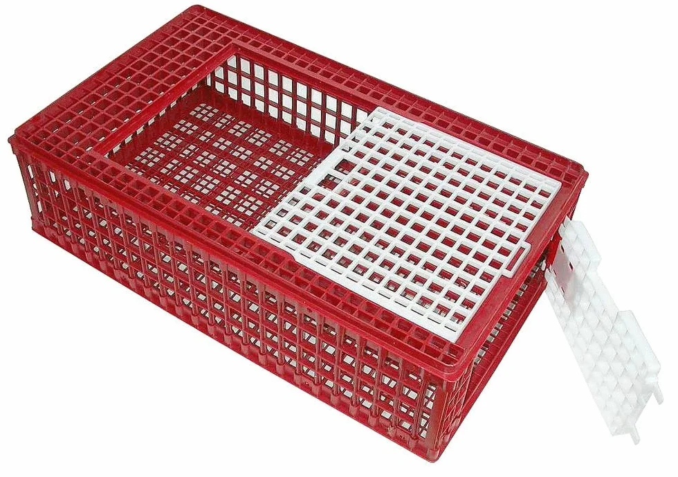 Kerbl pudełko do transportu drobiu, tworzywo sztuczne, 95 x 57 x 24 cm