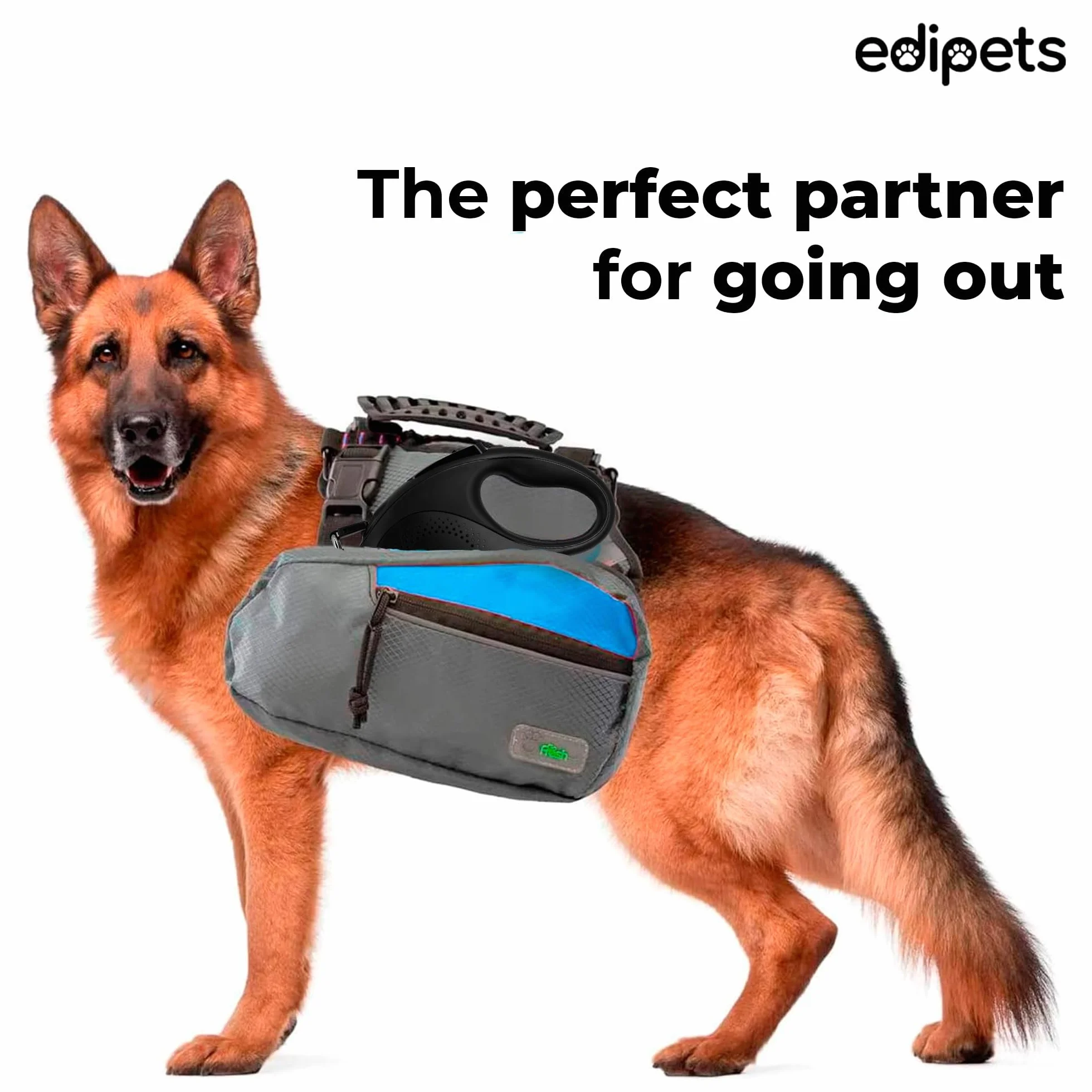 Edipets Wysuwana smycz dla psa 5m 8m czarna