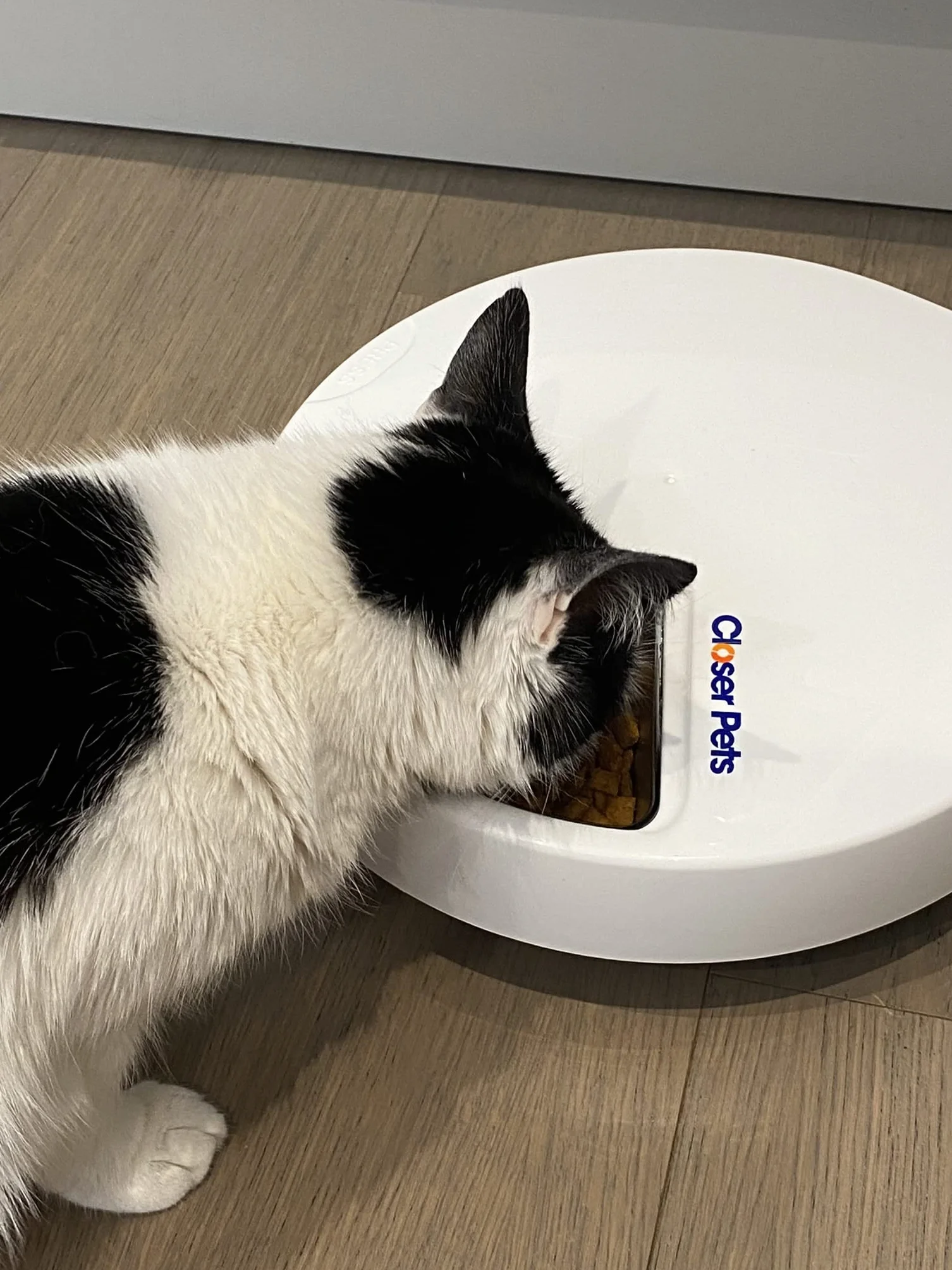Cat Mate C500 Automatyczny karmnik dla zwierząt domowych ze stali nierdzewnej