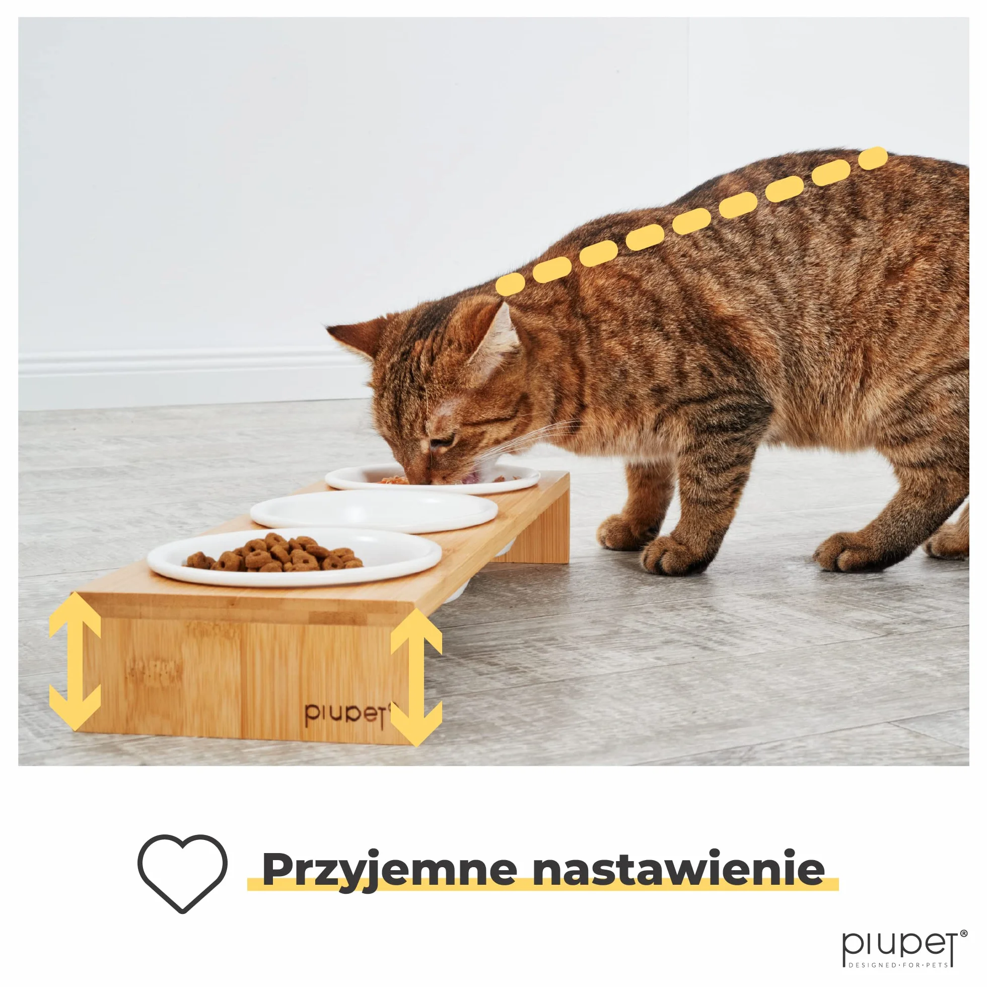 PiuPet® 3er Cat Bowl - Podwyższona miska ceramiczna dla kotów i małych psów - Zestaw 3 misek
