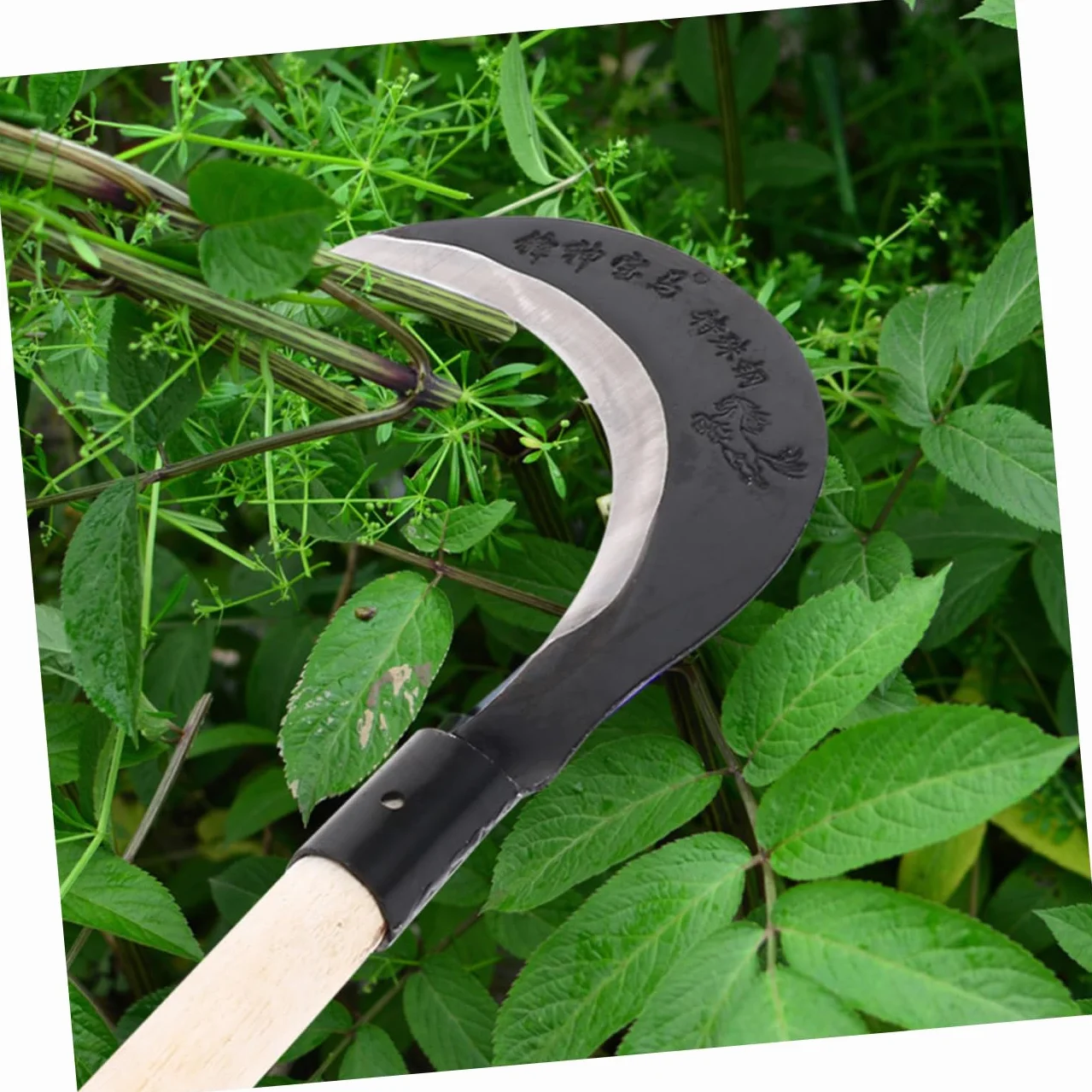 DIXII Kosa ręczna sierp ręczny trzcina cukrowa pielenie ze stali manganowej sierp trawy ogrodnictwo sierp trawy (kolor: różne kolory x 2 szt., rozmiar: 50 x 17 cm x 3 szt.)