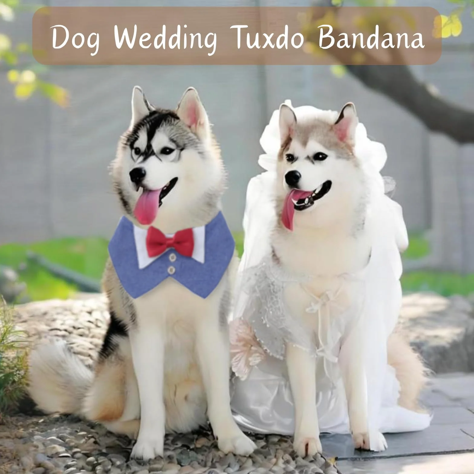 Regulowana muszka i chusta na szyję dla psa smoking Tuxedo z zapięciem na rzepy XL