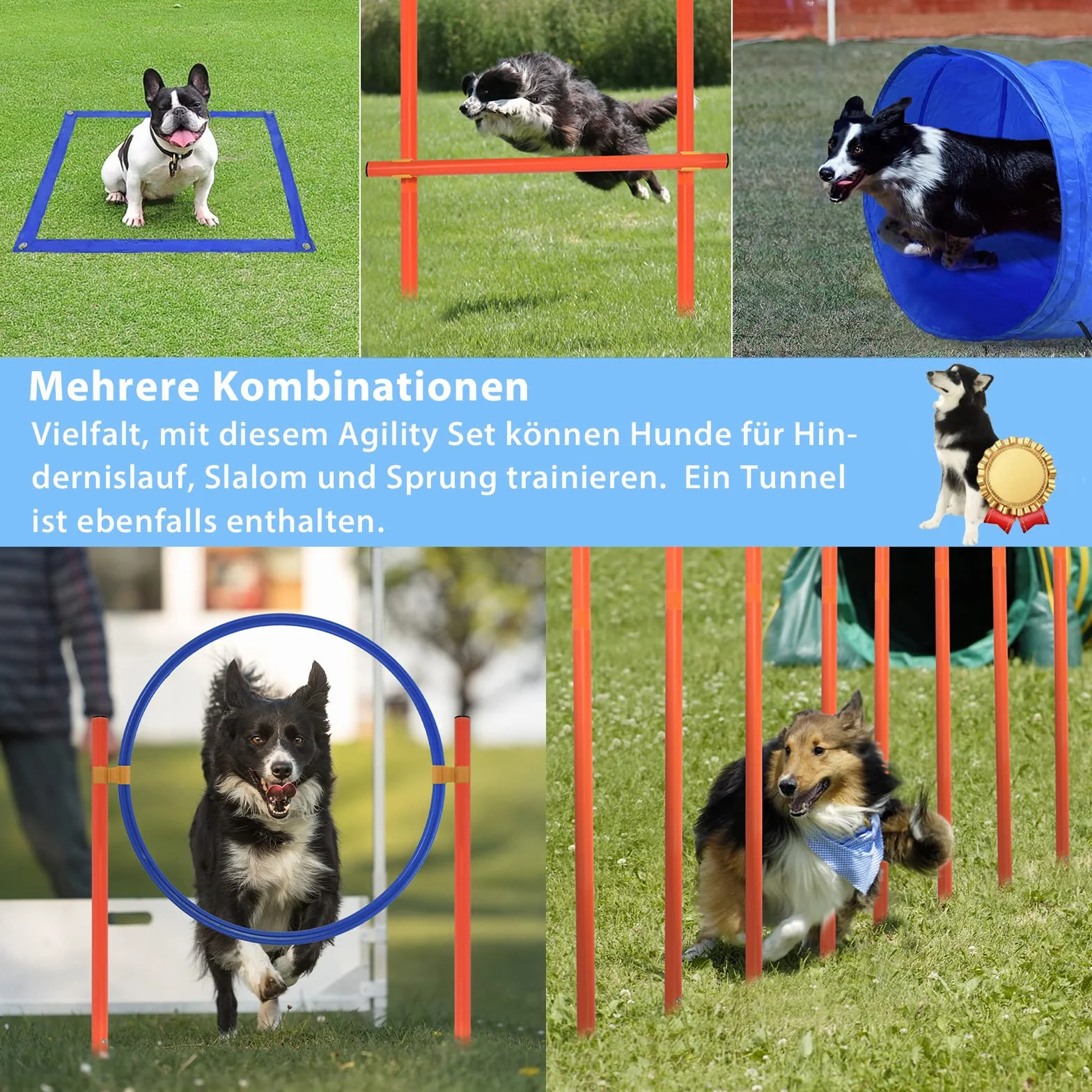 LARS360 Agility Zestaw Wyposażenia dla Psów, Tunel, Pierścień, Drążek z Regulacją Wysokości