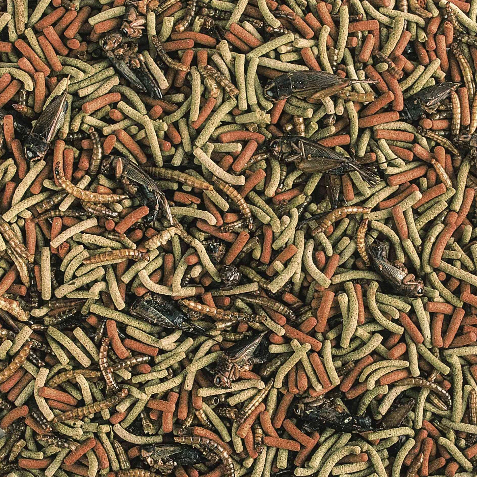 Tropical REPTILES CARNIVORE SOFT Pokarm dla mięsożernych i wszystkożernych gadów 1000ml 260g
