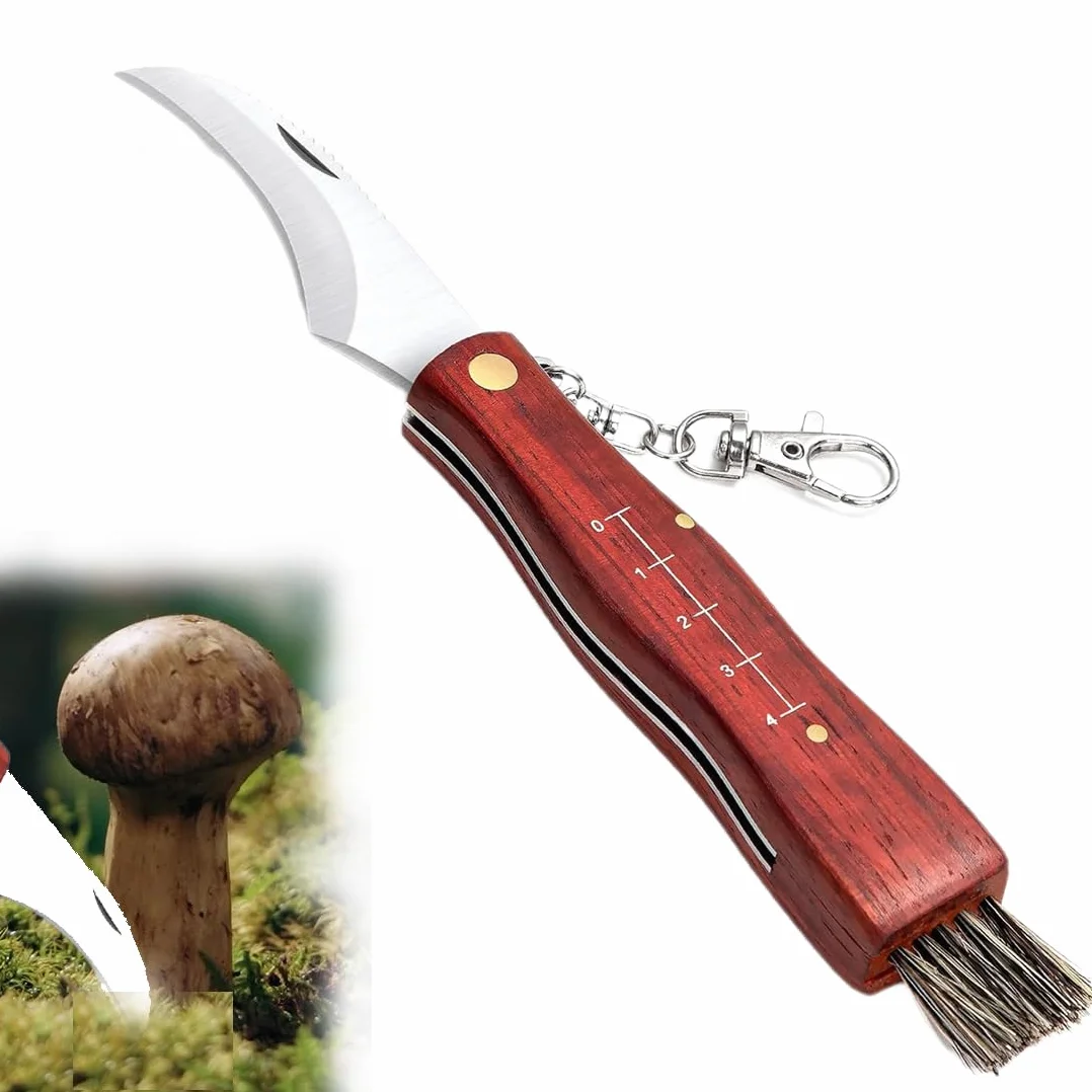 HONGECB Nóż Grzybowy ze Szczotką, Składany, 21 cm, Stal Nierdzewna, Funkcjonalny