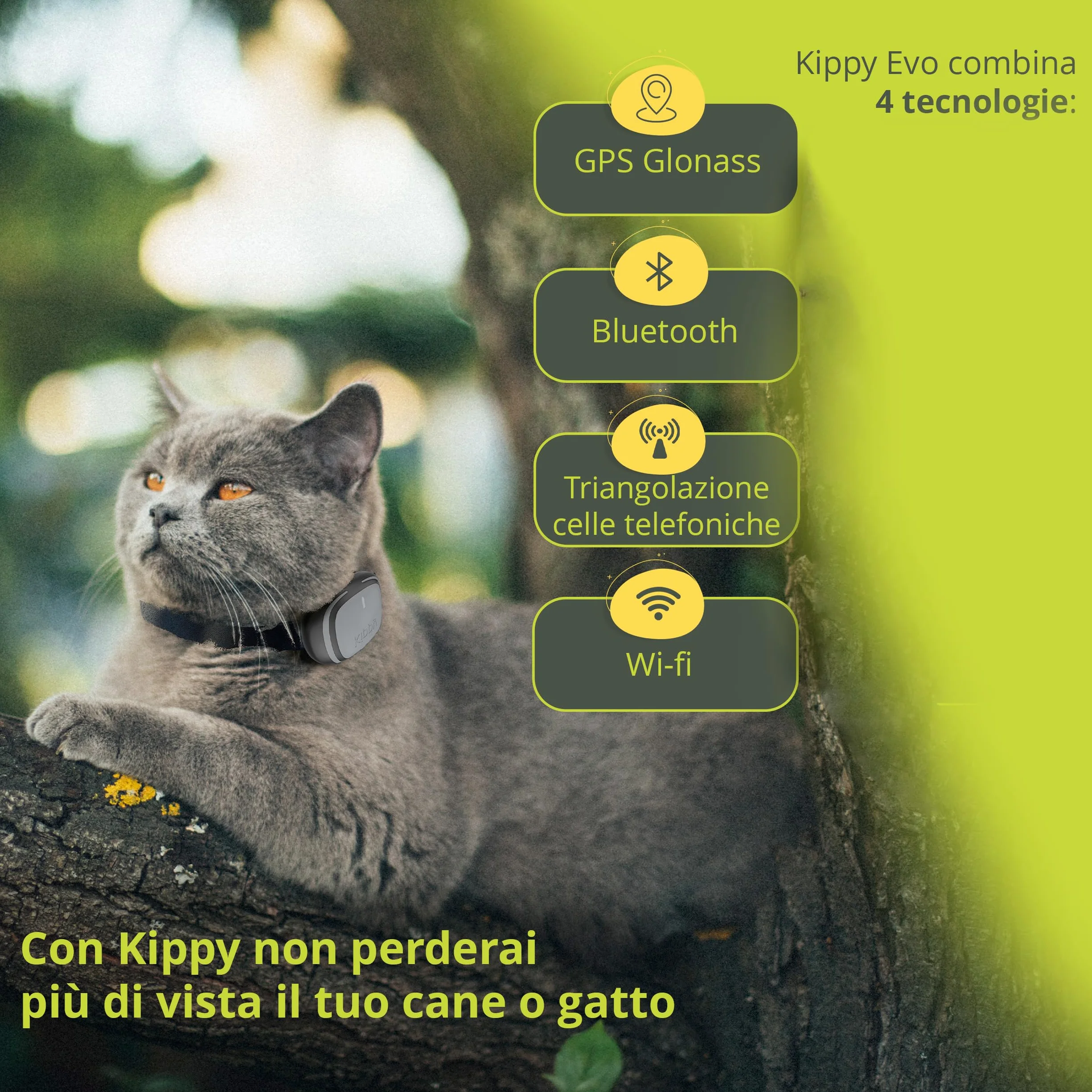 Kippy EVO Obroża GPS Monitor Aktywności dla Psa Kota 38g Wodoodporna Bateria 7 dni Kamiennoszary