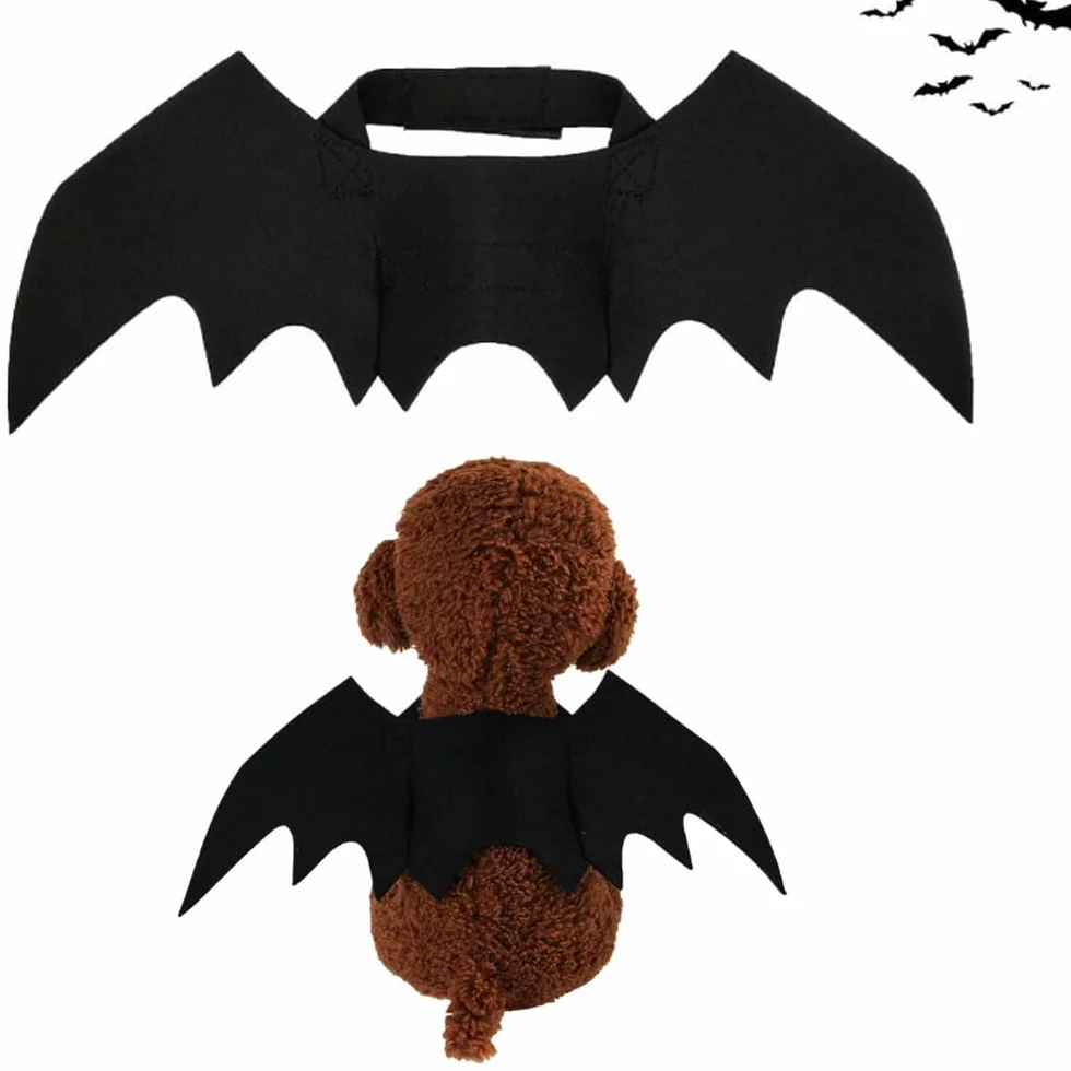 Kostium kota na Halloween skrzydła nietoperza dekoracja dla psa rozmiar S