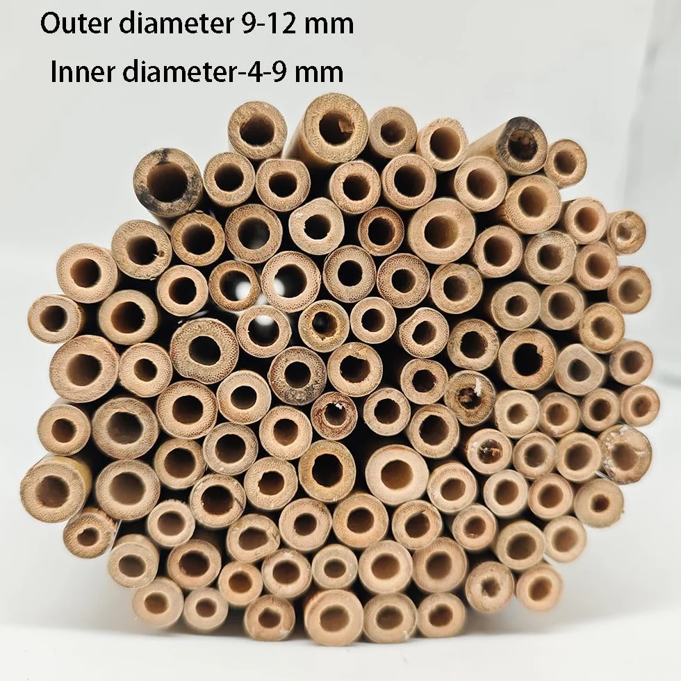 Materiał Wypełniający Rurki Hotelowe dla Owadów - 100 Szt. Naturalna Rurka Bambusowa 15 cm - Akcesoria do Domków Pszczół - Przyjazne dla Środowiska w Ogrodzie