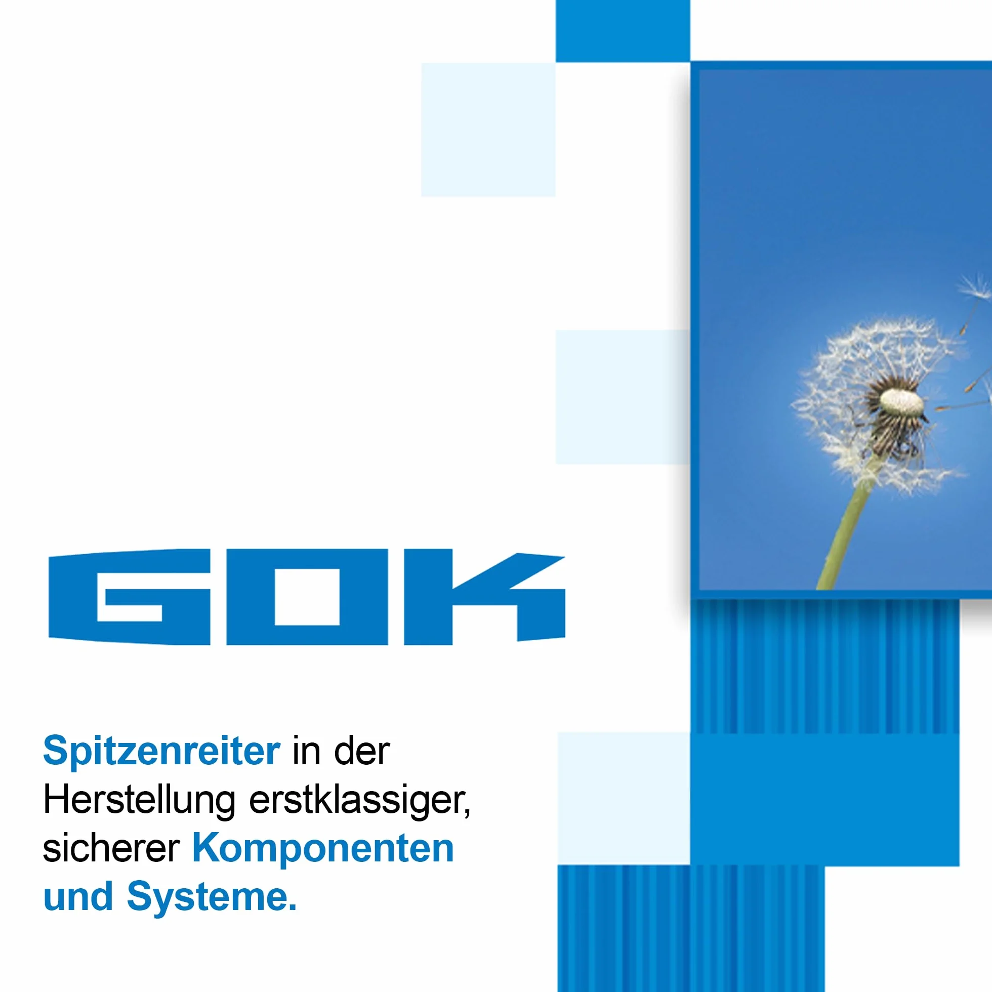 GOK 11-stopniowy regulator gazu od 25 do 50 mbar, certyfikat DIN-DVGW