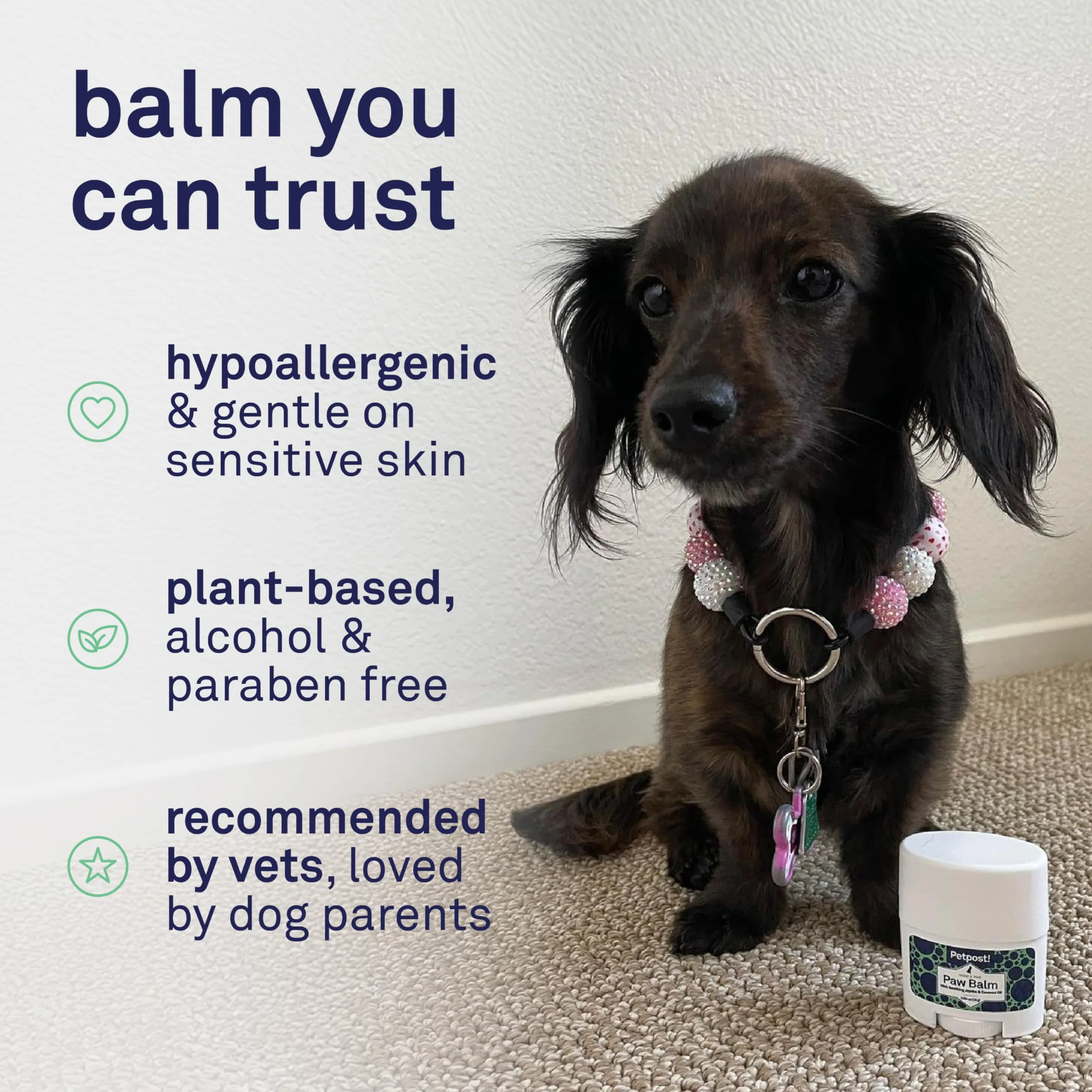 Petpost | Paw Balm for Dogs - Nourishing Cream Soothes Itchy, Dry Dog Paws with Moisturizing Ingredients - Organic Coconut Oil, Jojoba Oil, and Shea Butter